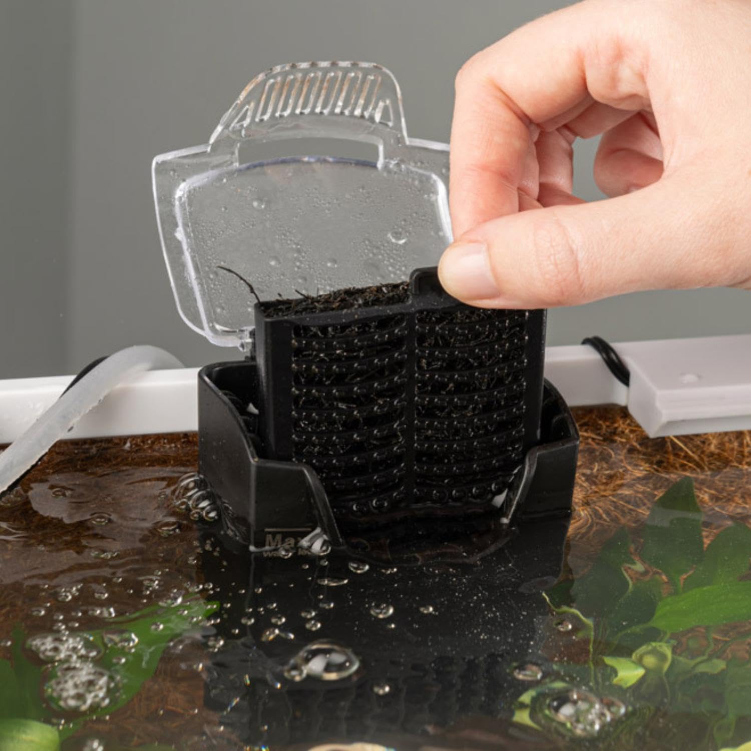 Interpet CF1 3 Month Filter Service Pack - Clears Water & Reduces Algae 5
