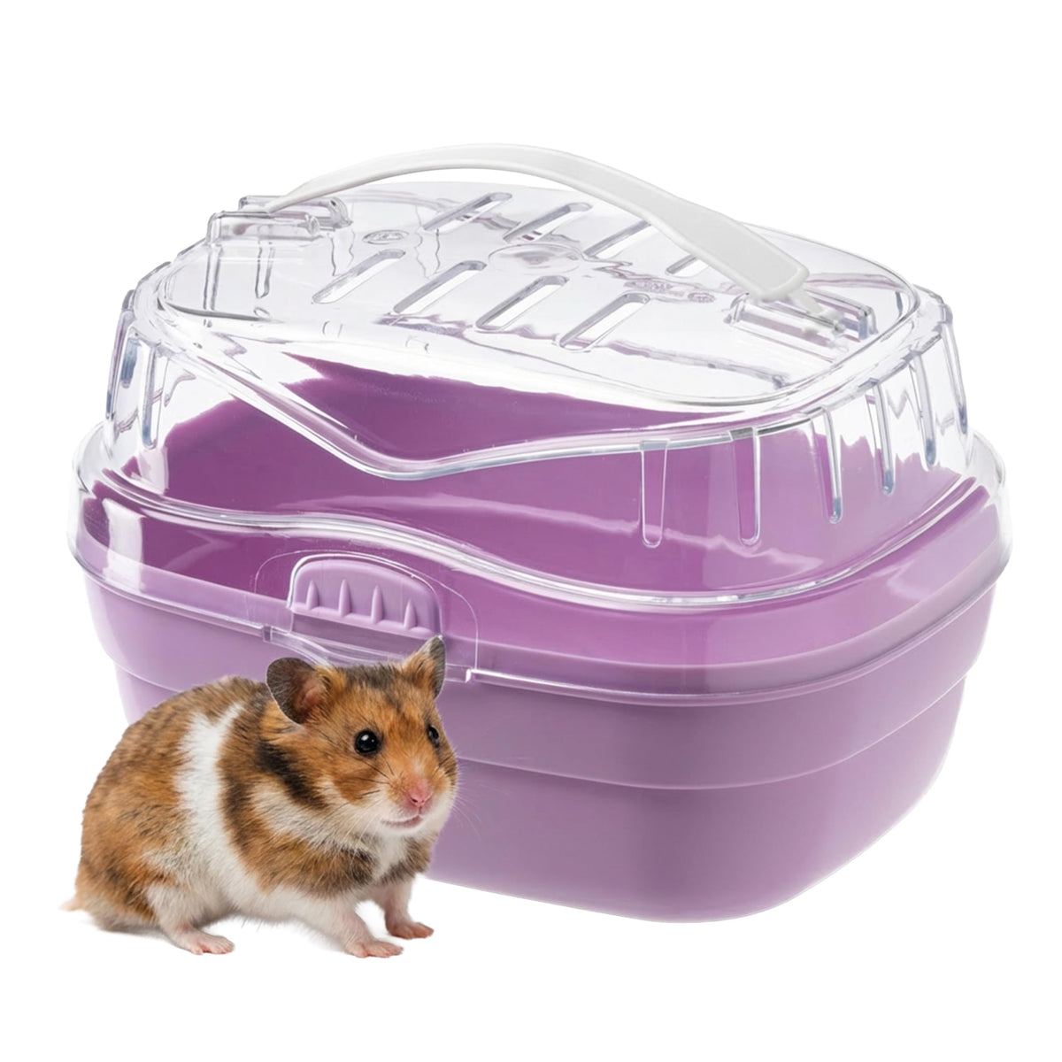 Ferplast ALADINO Small Hamster Carrier - Fuchsia, 0.5 kg Capacity