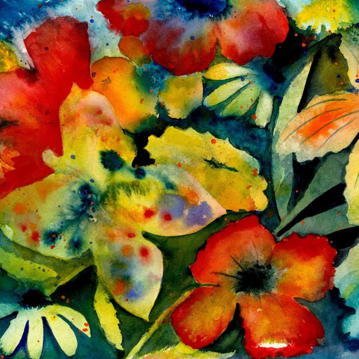 Big Thief - Songs and Instrumentals [Audio CD] 1