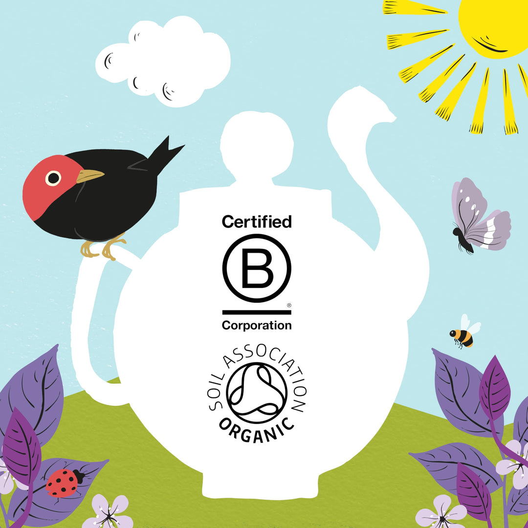 Clipper - Organic Berry Burst Fruit Tea Bags | 150 Enveloped Sachets (6 x 25) | Caffeine-Free Herbal Infusion