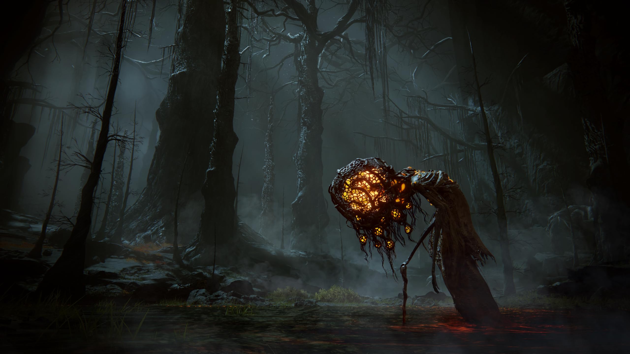Elden Ring: Shadow of the Erdtree Edition [Xbox Series X]