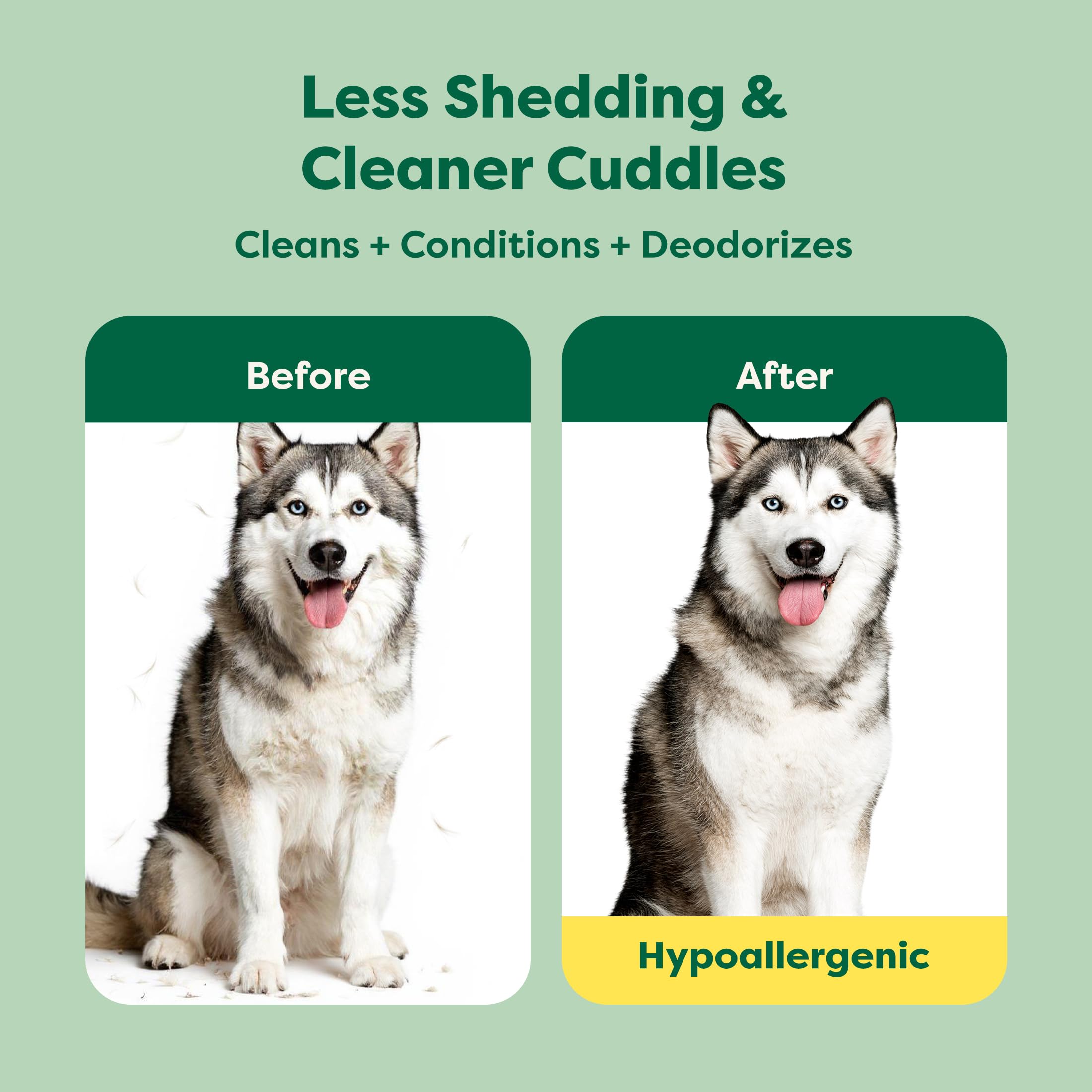 Earth Rated 3-in-1 Deshedding Dog Shampoo and Conditioner with Jojoba Oil | White Tea & Basil Scent | 473ml