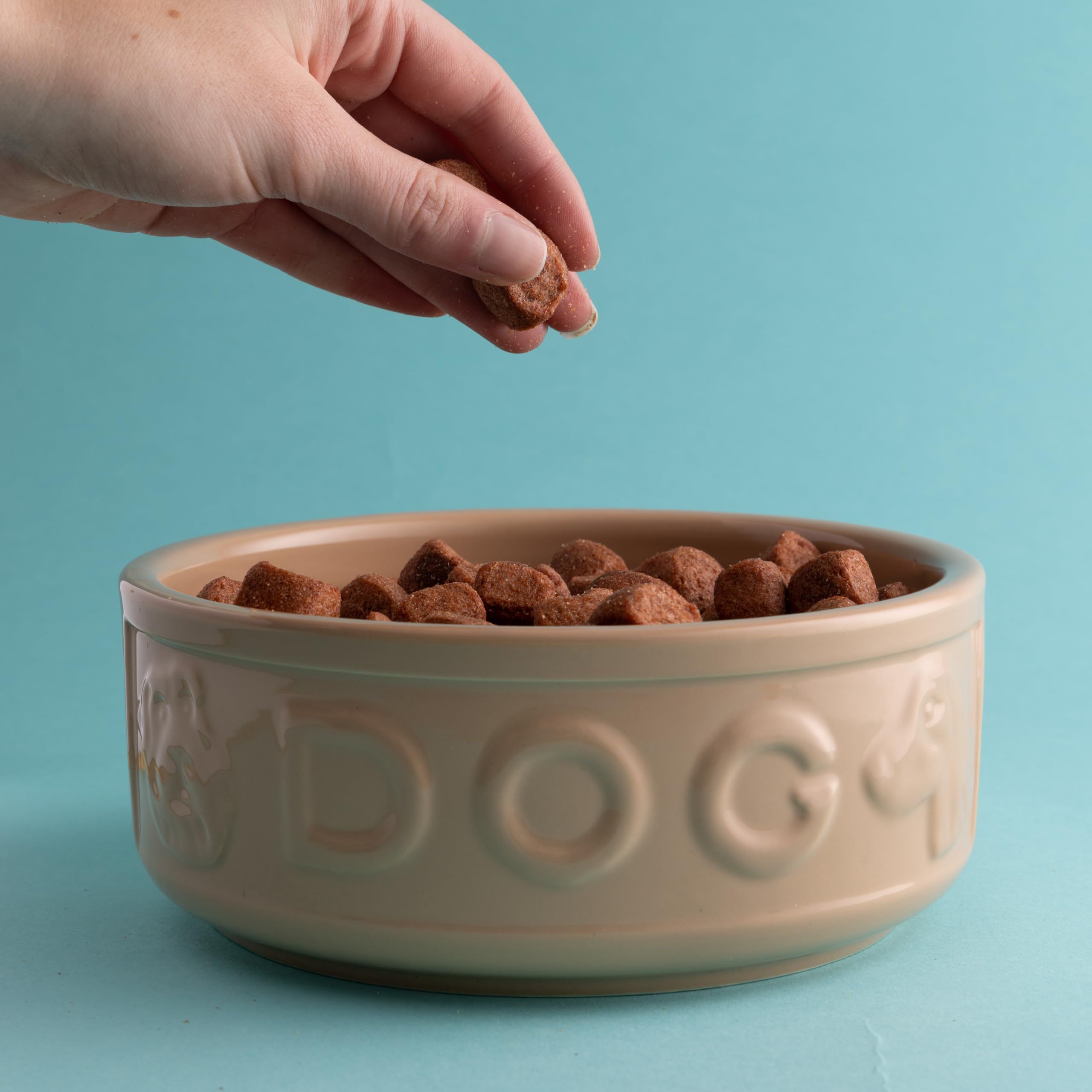 Mason Cash Cane Lettered Stoneware Dog Bowl - 1.2L Capacity | Durable | Medium/Large Breeds