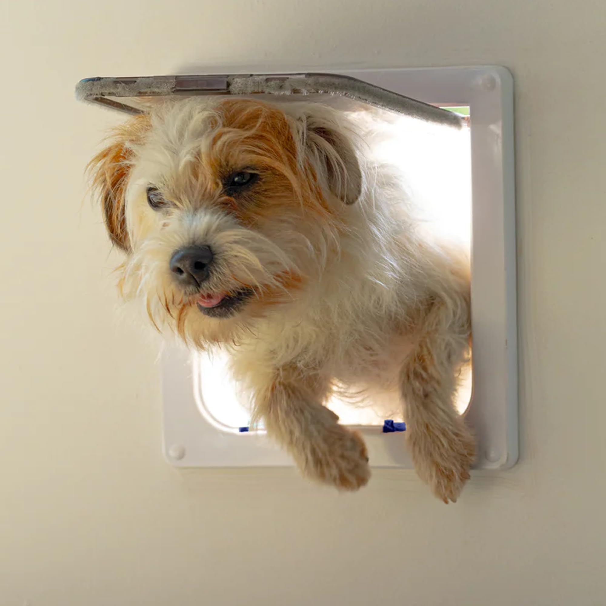 Cat Mate Large Cat Flap - 4-Way Locking, Weatherproof, Silent Action | White | L Size