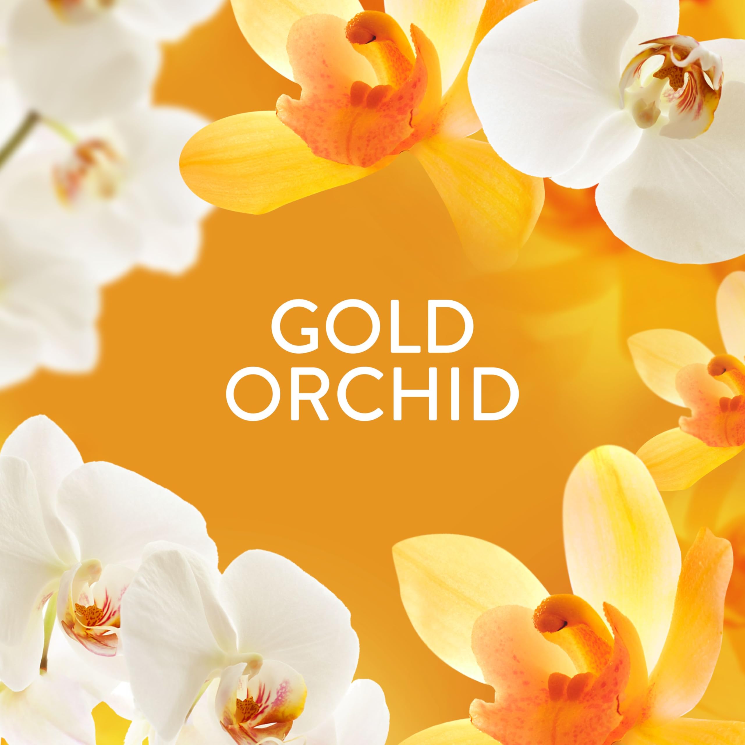 Lenor Gold Orchid In-Wash Scent Booster Beads - 735g | Non-Stop Freshness | Orchid Scent 5