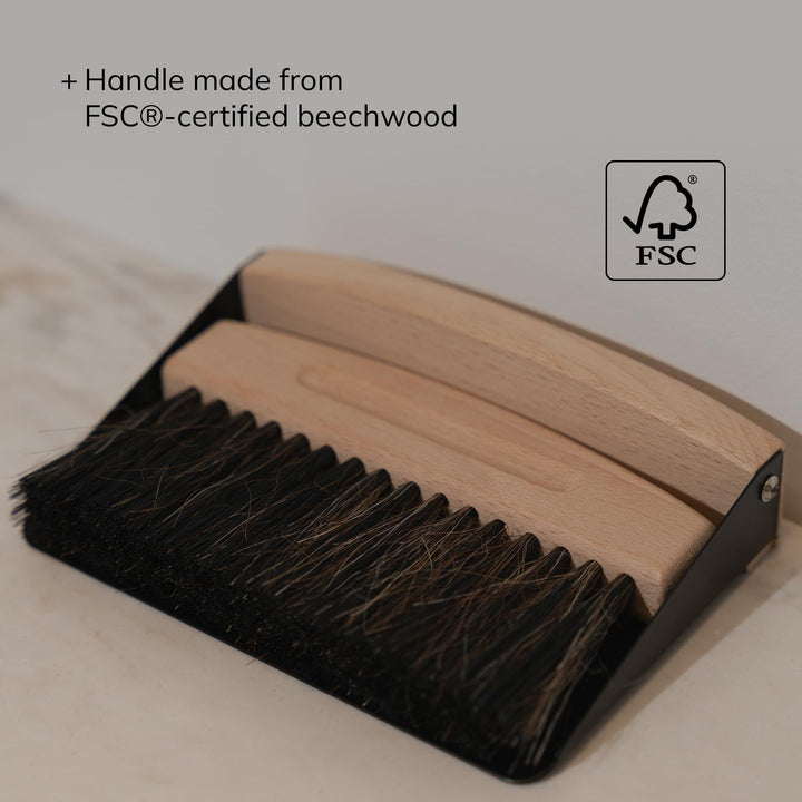ENA Living Mini Dustpan and Brush Set - Small Cleaning Brush Set for Home, Kitchen, Fireplace