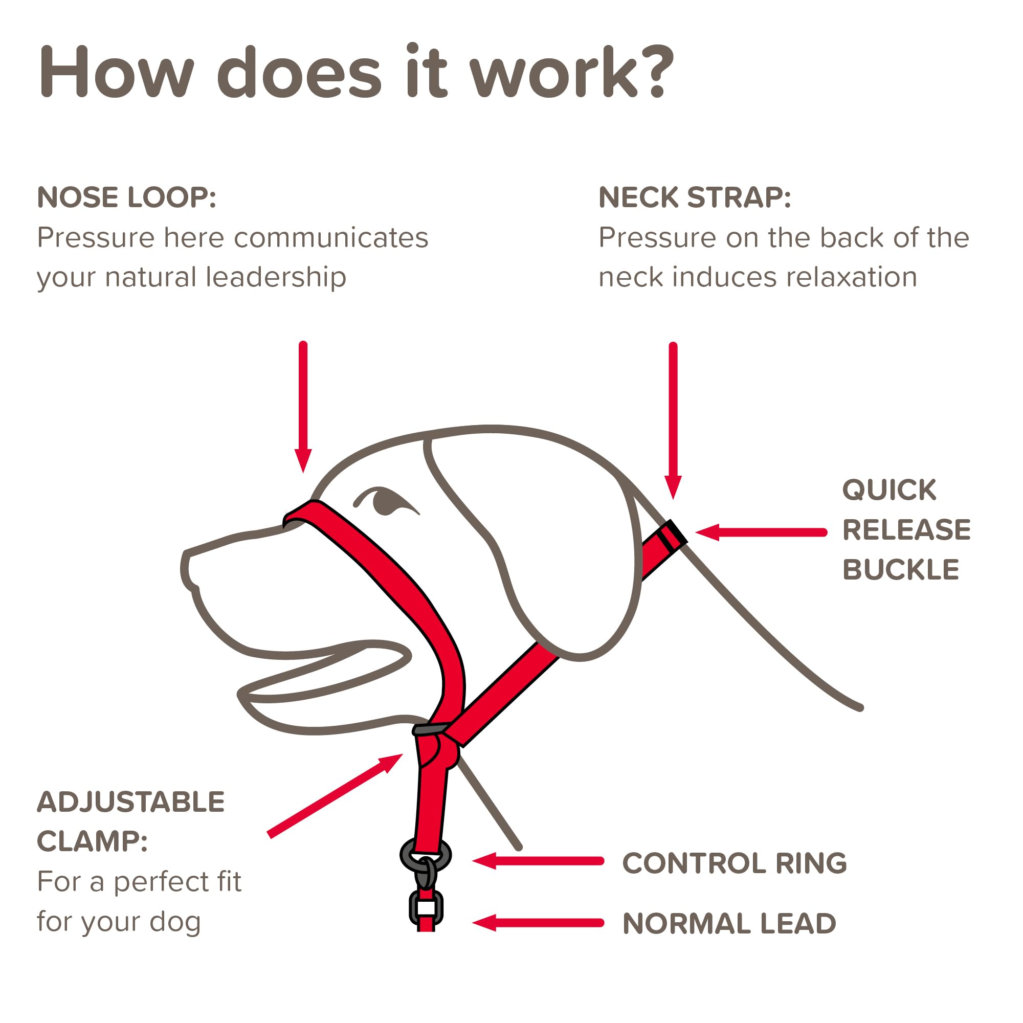 Beaphar Gentle Leader Head Collar - Medium Dog Training Aid for Stopping Pulling | Red 3