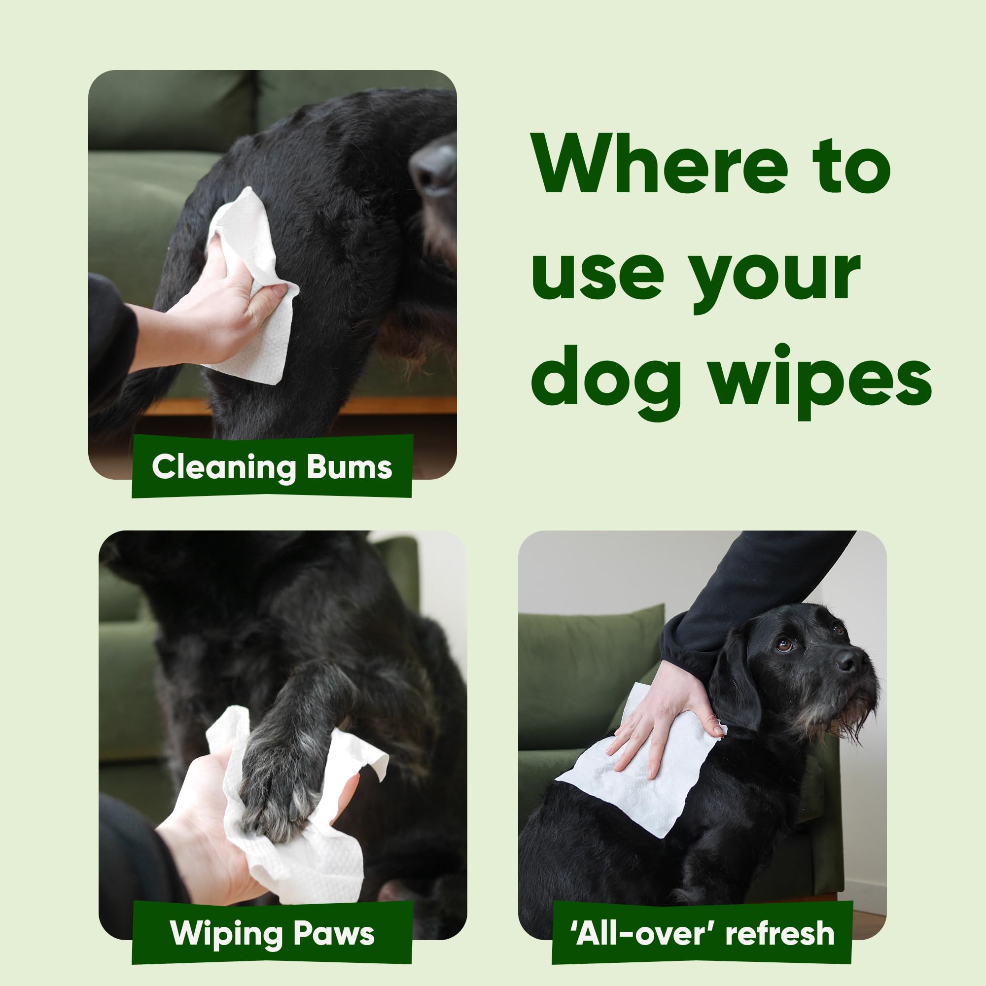 Beco Unscented Dog Wipes - 80 Count Pack | Hypoallergenic | Bamboo Material 7