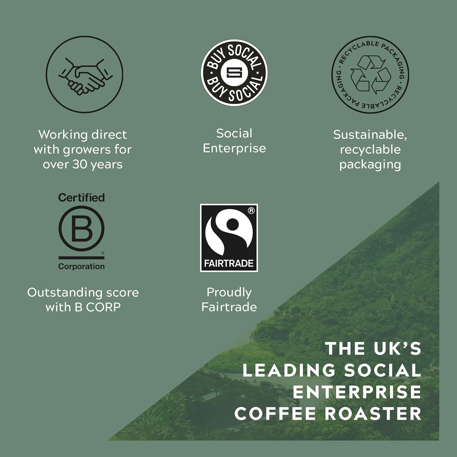 Cafédirect Decaf Machu Picchu Fairtrade Ground Coffee 227g (Pack of 6) 3