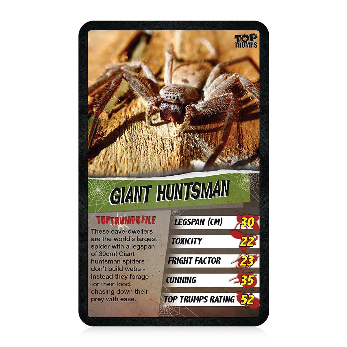Top Trumps Spiders Classics Card Game - Ages 6+ | 2+ Players | Multicolor 3