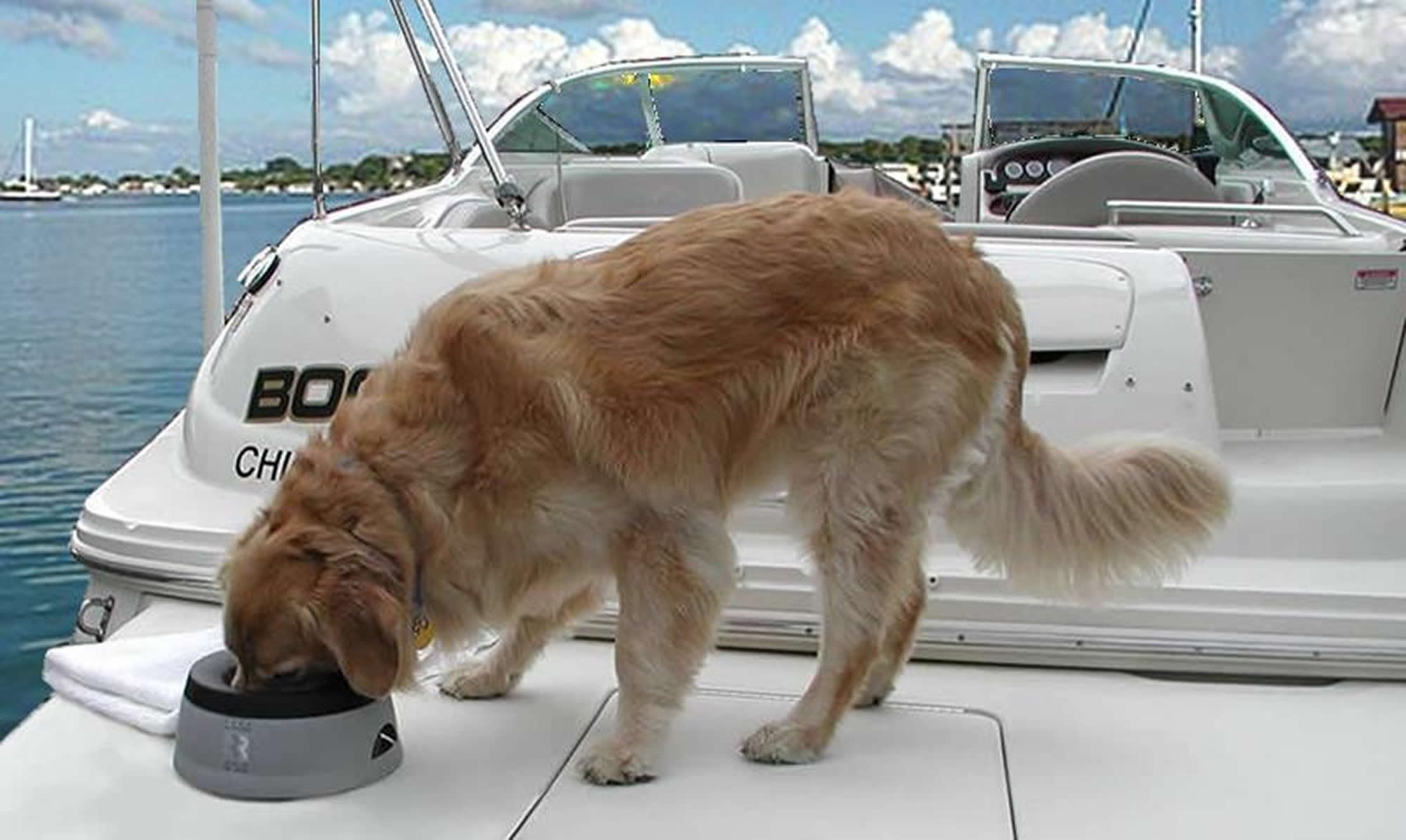 Road Refresher Non Spill Pet Water Bowl - Eliminates Spills | Pink, Small