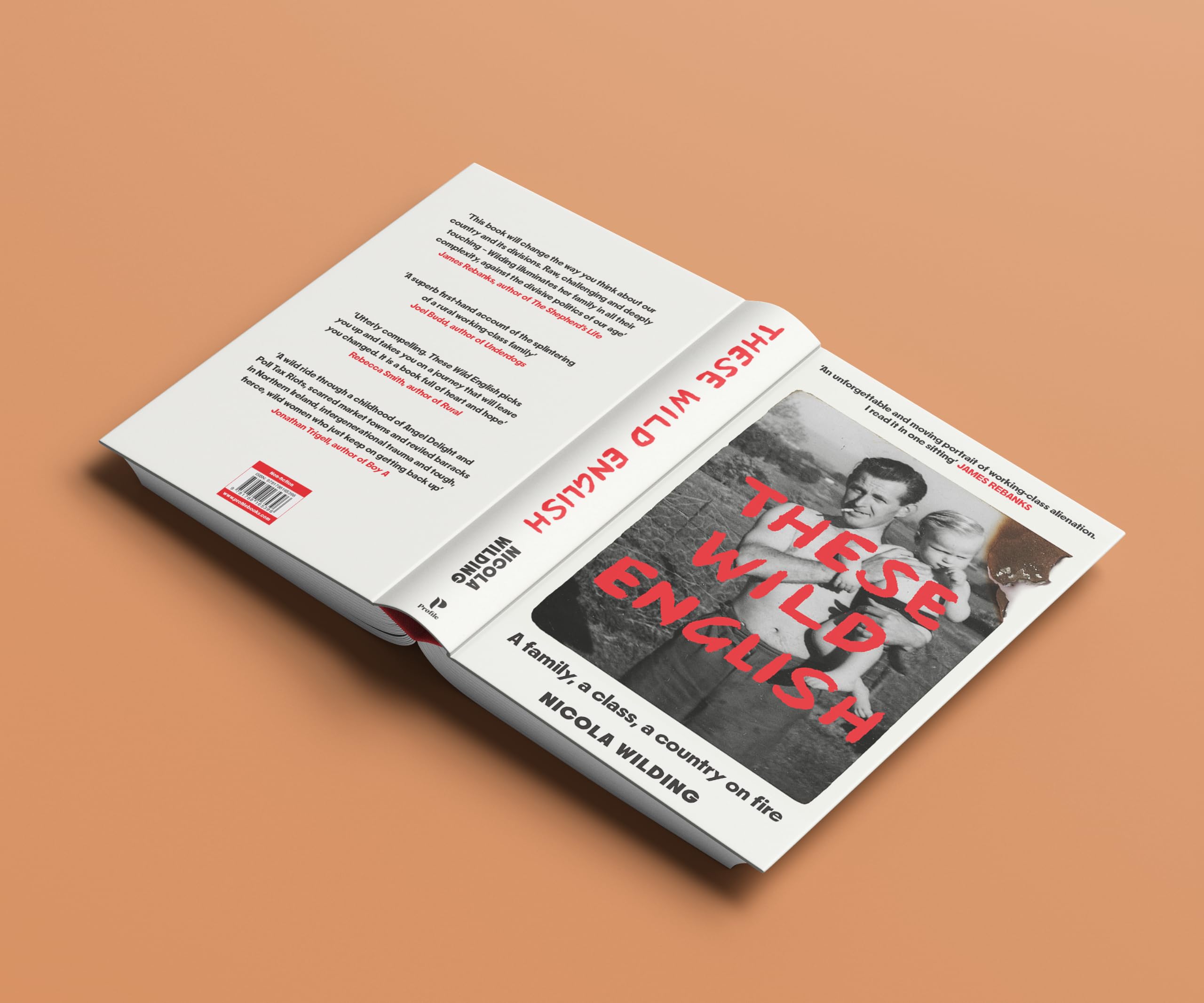 These Wild English: A family, a class, a country on fire by Nicola Wilding 5