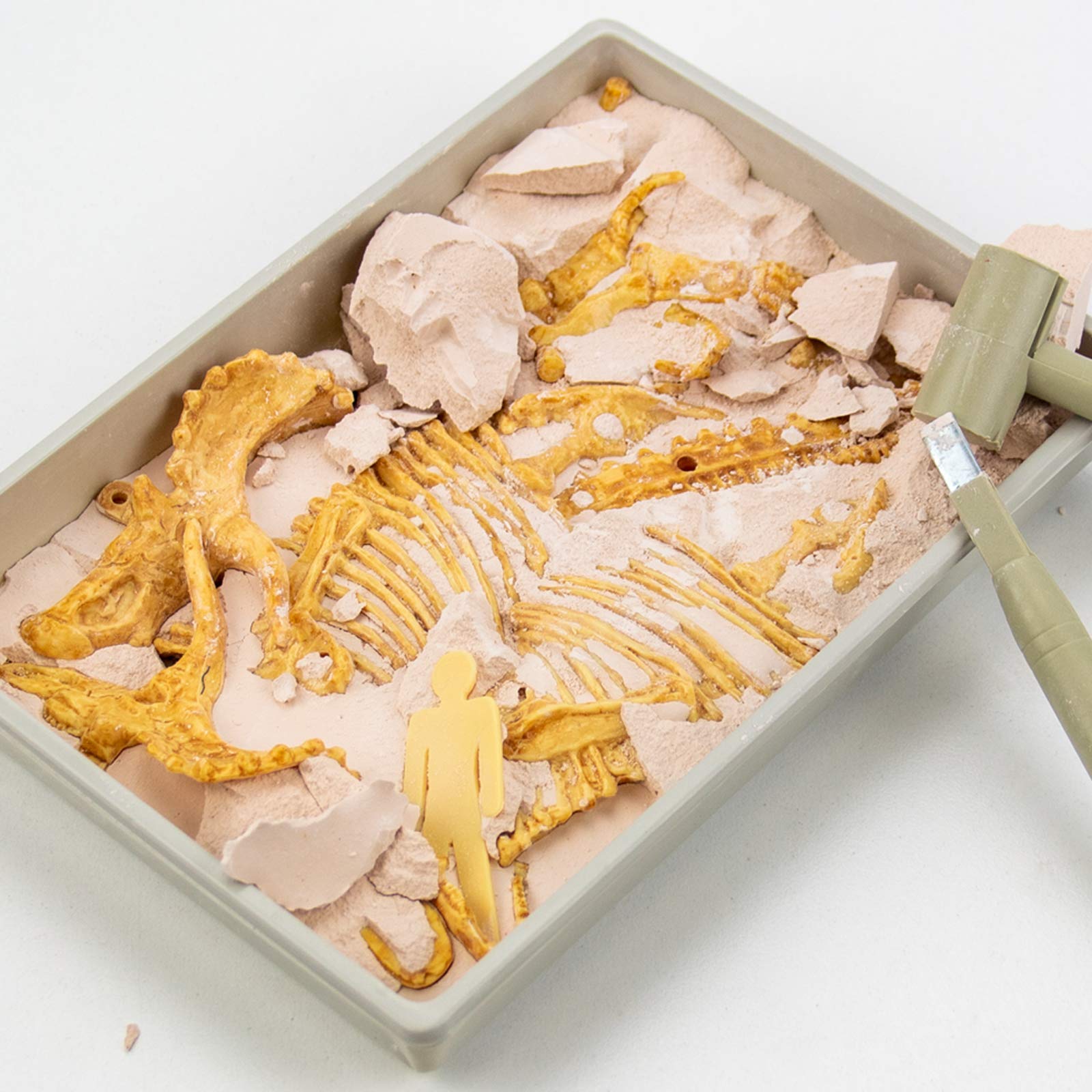 Science4you Triceratops Fossil Digging Kit - 10-Piece Dinosaur Excavation Set for Kids 6+ 11