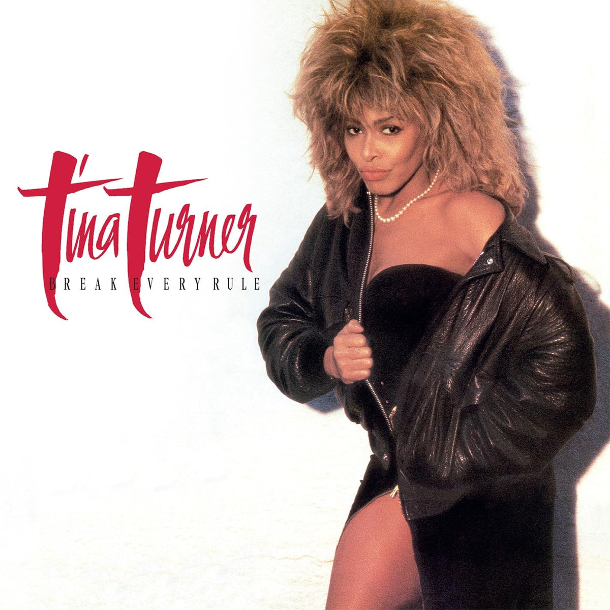 Tina Turner - Break Every Rule [Vinyl]