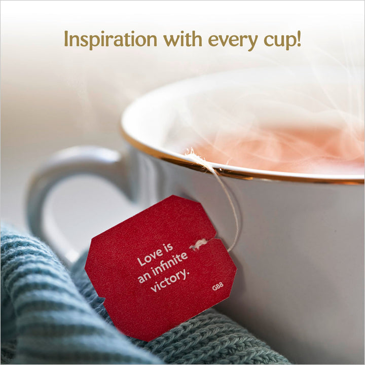 YOGI TEA - Echinacea Organic Herbal Tea, Naturally Caffeine-Free, Blend of Echinacea, Rooibos & Cardamom, 6 x 17 Tea Bags (102 Total)