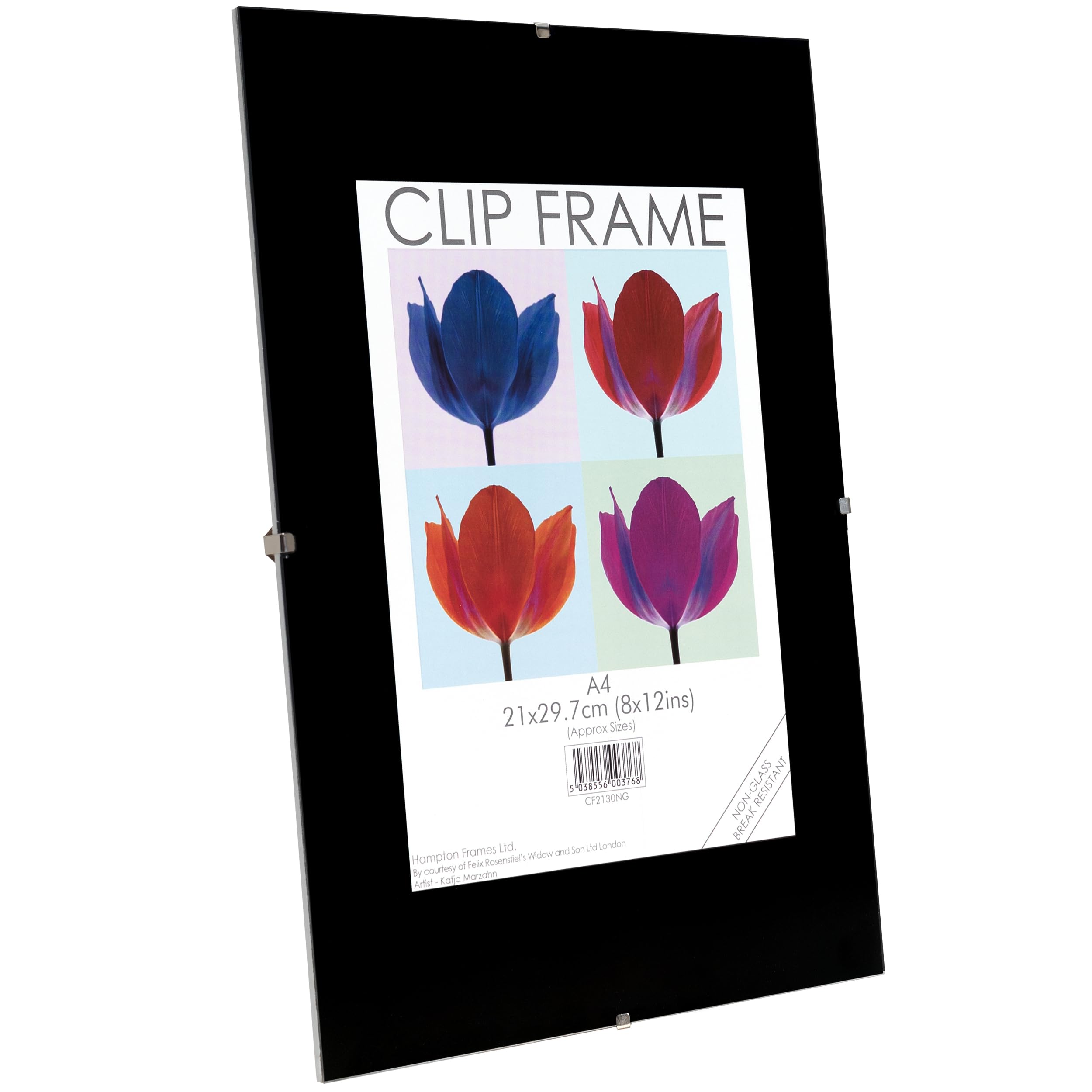 Hampton Frames CLIP Photo Poster Display Clip Frame - Frameless A4 (21x30cm) Clear Plastic CF2130NG