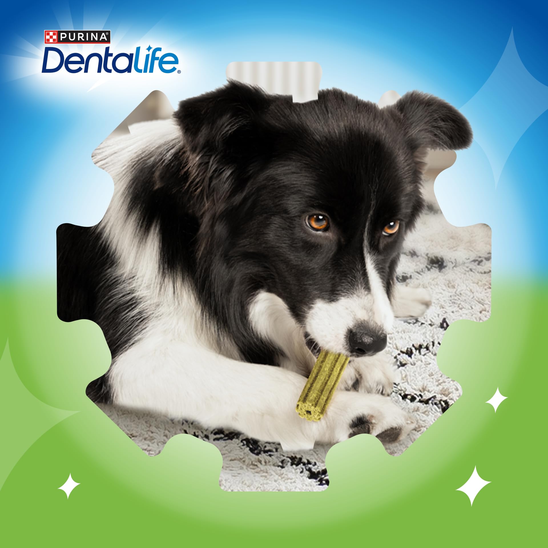 Dentalife ActivFresh Chicken Dental Sticks for Medium Dogs - Fights Bad Breath & Reduces Tartar (24 Sticks, Pack of 2) 7