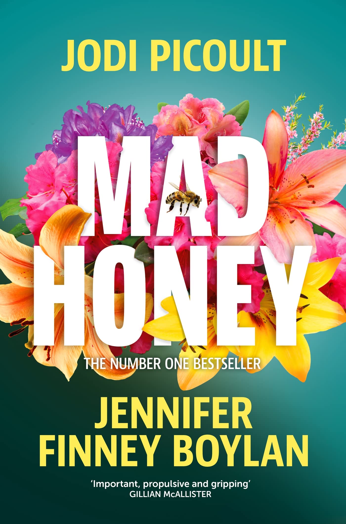 Mad Honey by Jennifer Finney Boylan & Jodi Picoult - Contemporary Fiction Paperback 1