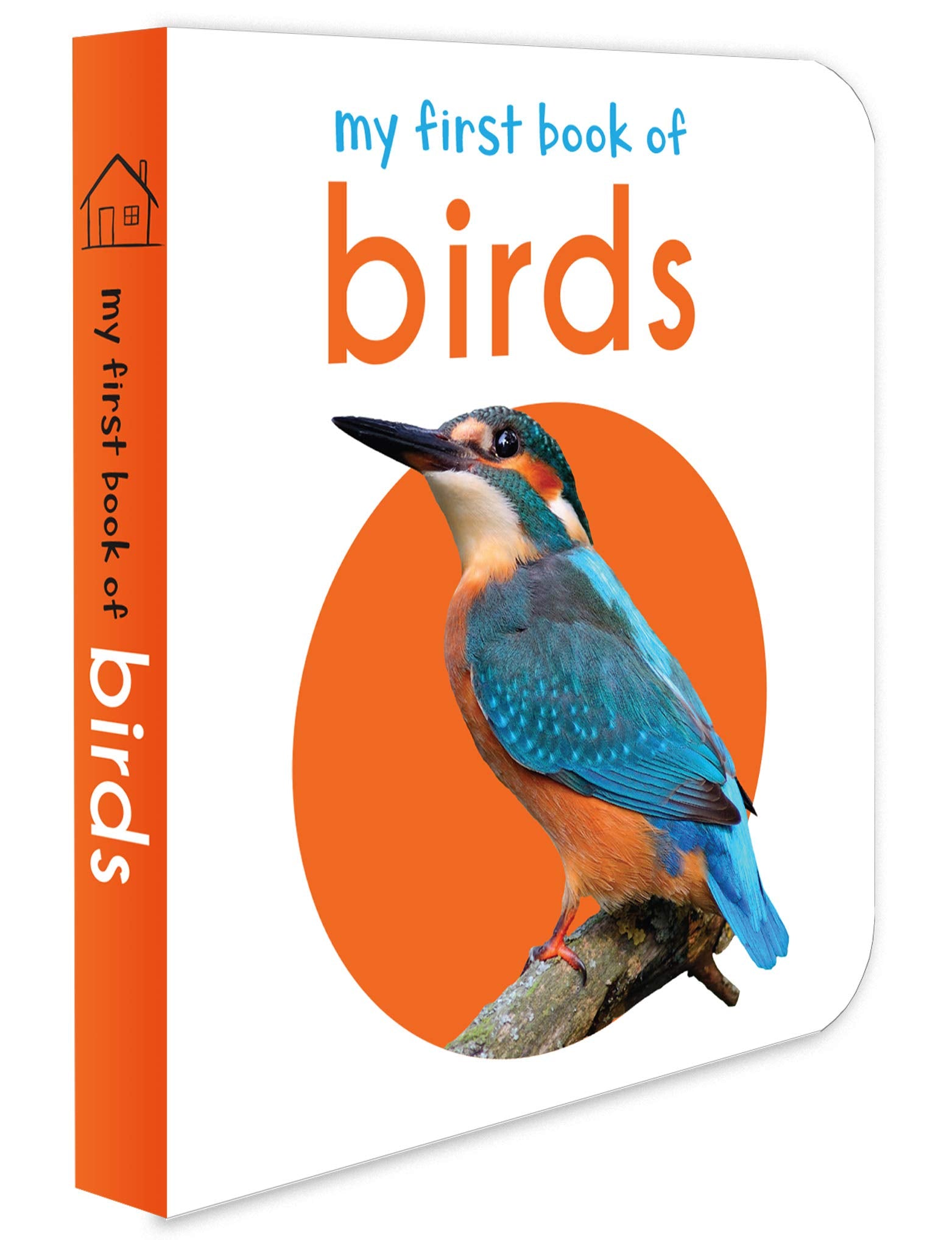 Wonder House My First Book Of Birds - First Board Book for Early Learning | English Language 1