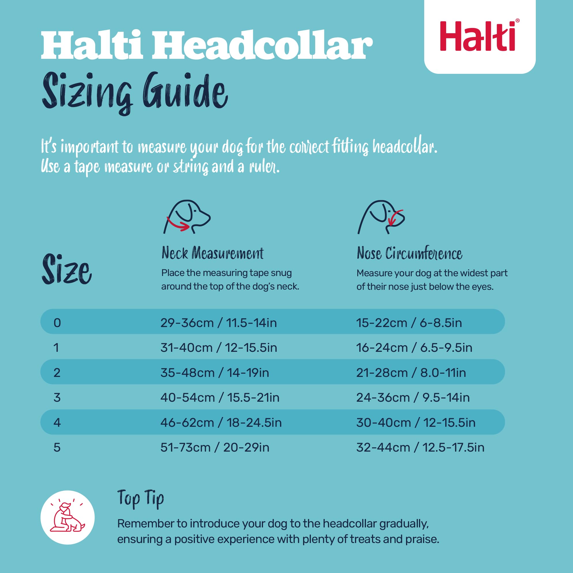 Halti Headcollar - Stops Pulling | Reflective Accents | Size 2 Deep Walnut 5
