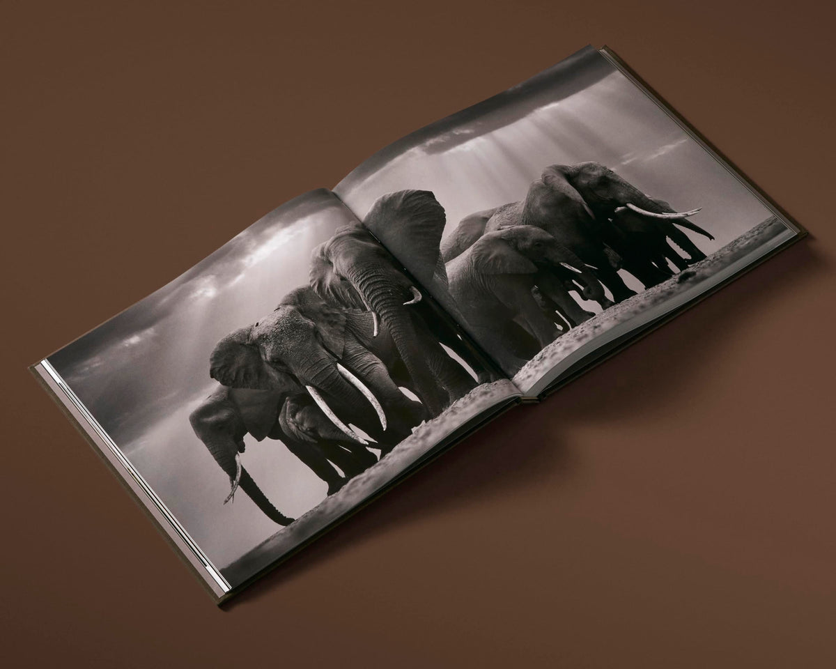 Rizzoli The Earth We Share: Extraordinary Photography of Our Vanishing Species - Hardcover | 208 Pages | English