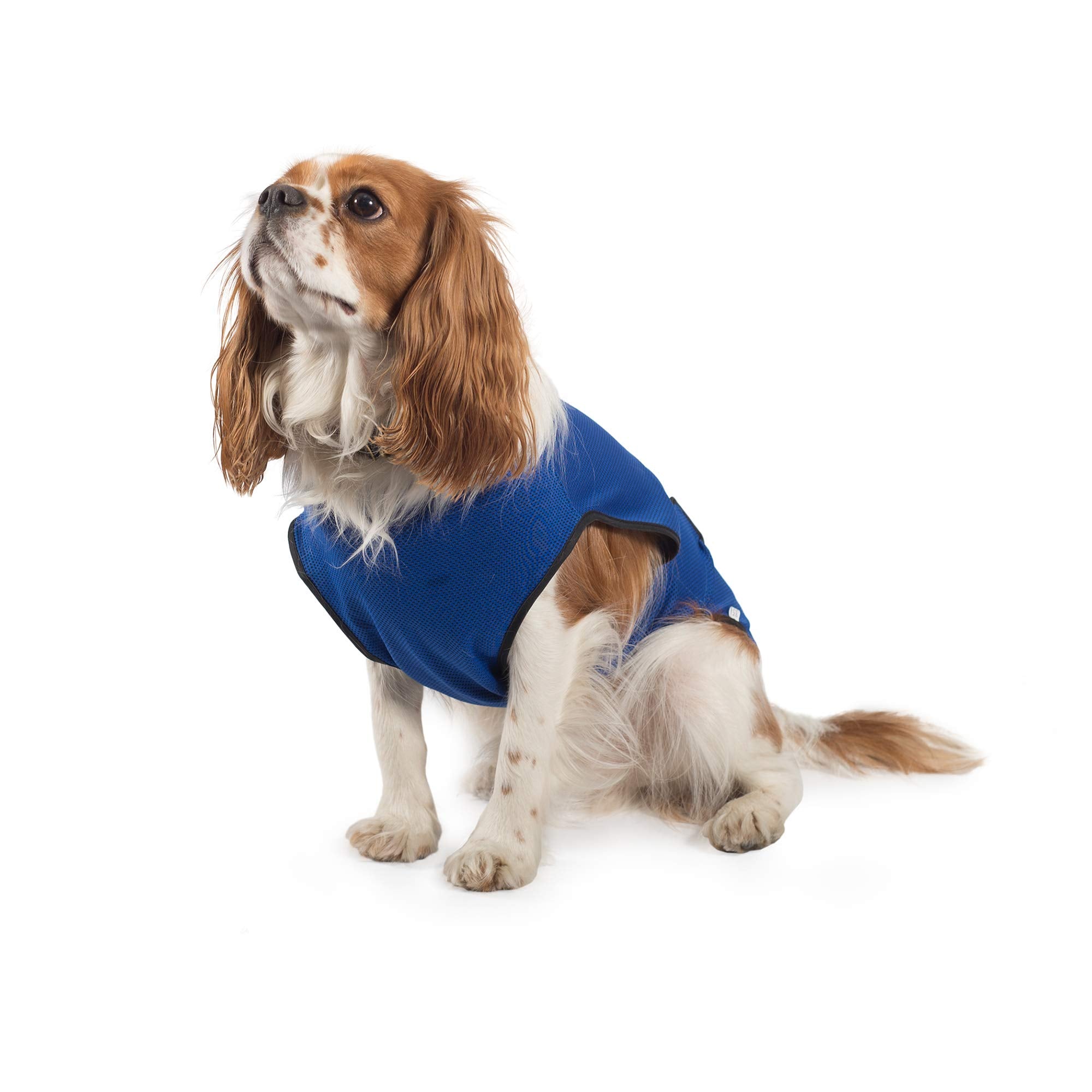 Ancol Dog Cooling Coat - Large (50 cm) - Blue 3
