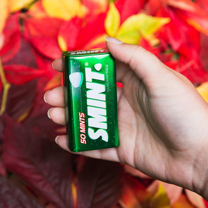 Smint - Spearmint XXL Sugar-Free Mints (Pack of 12 Tins)