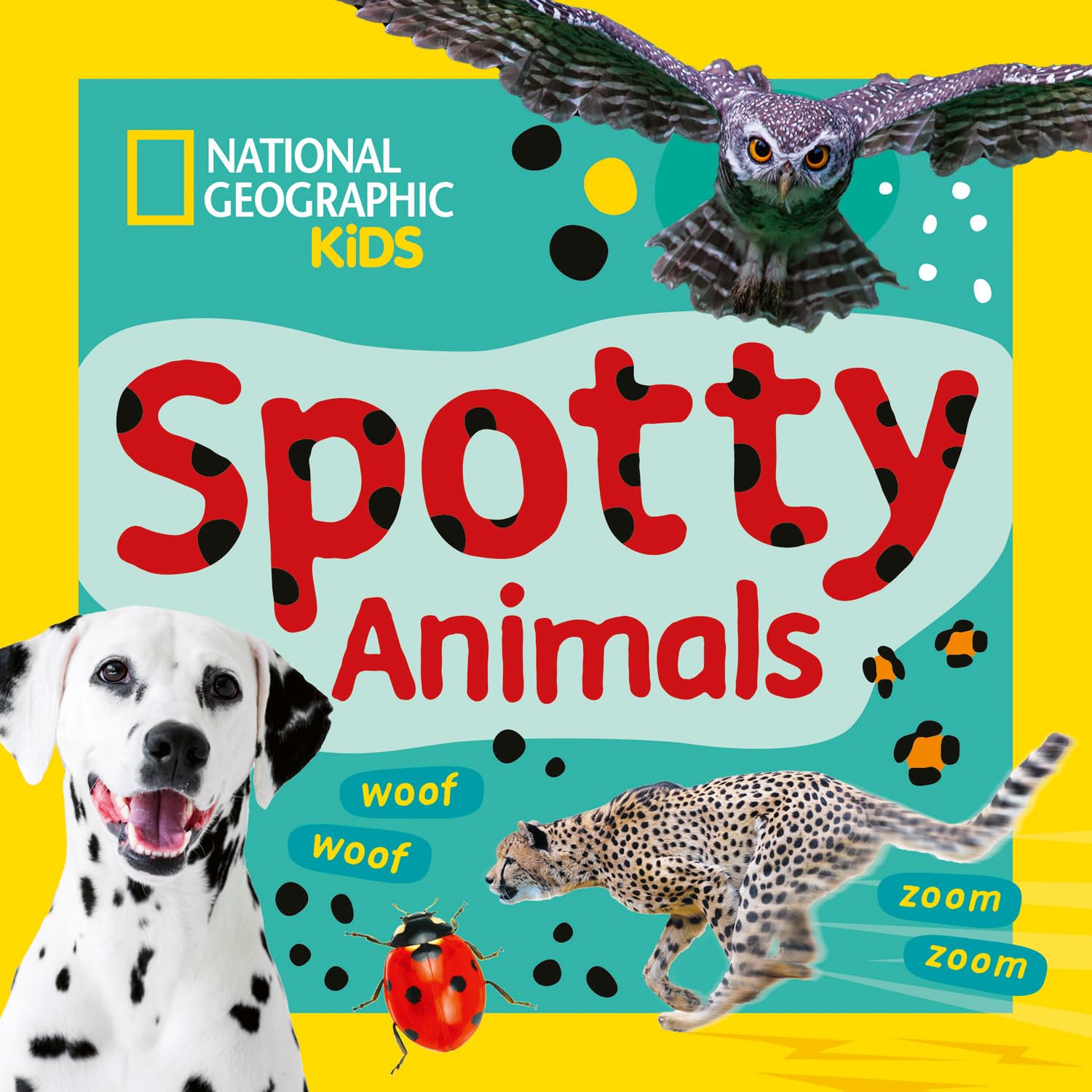 Collins Spotty Animals: A Fun First Board Book for Toddlers to Learn About Animals | Picture Book