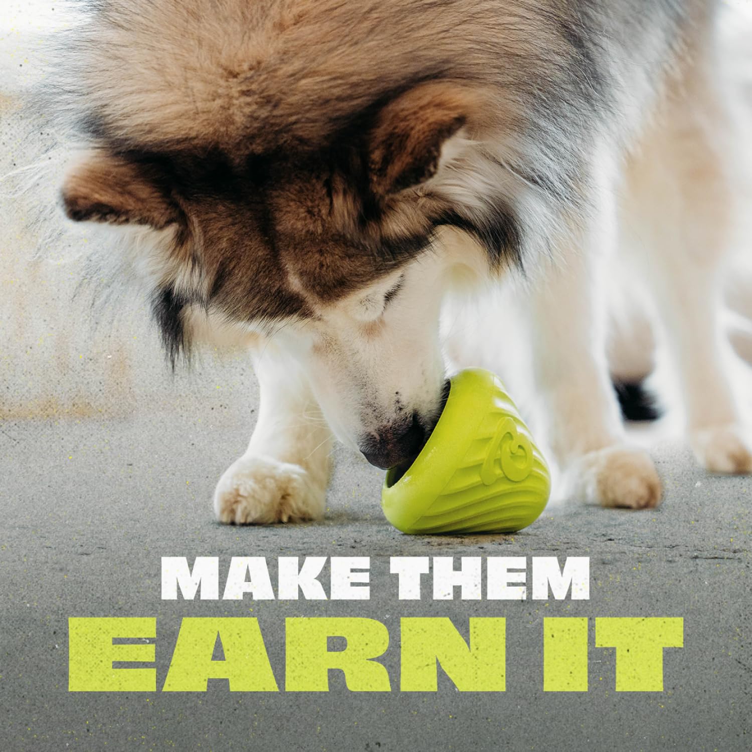Benebone Natural Rubber Cone Interactive Treat Dispensing Dog Toy | Green | Water Resistant 2