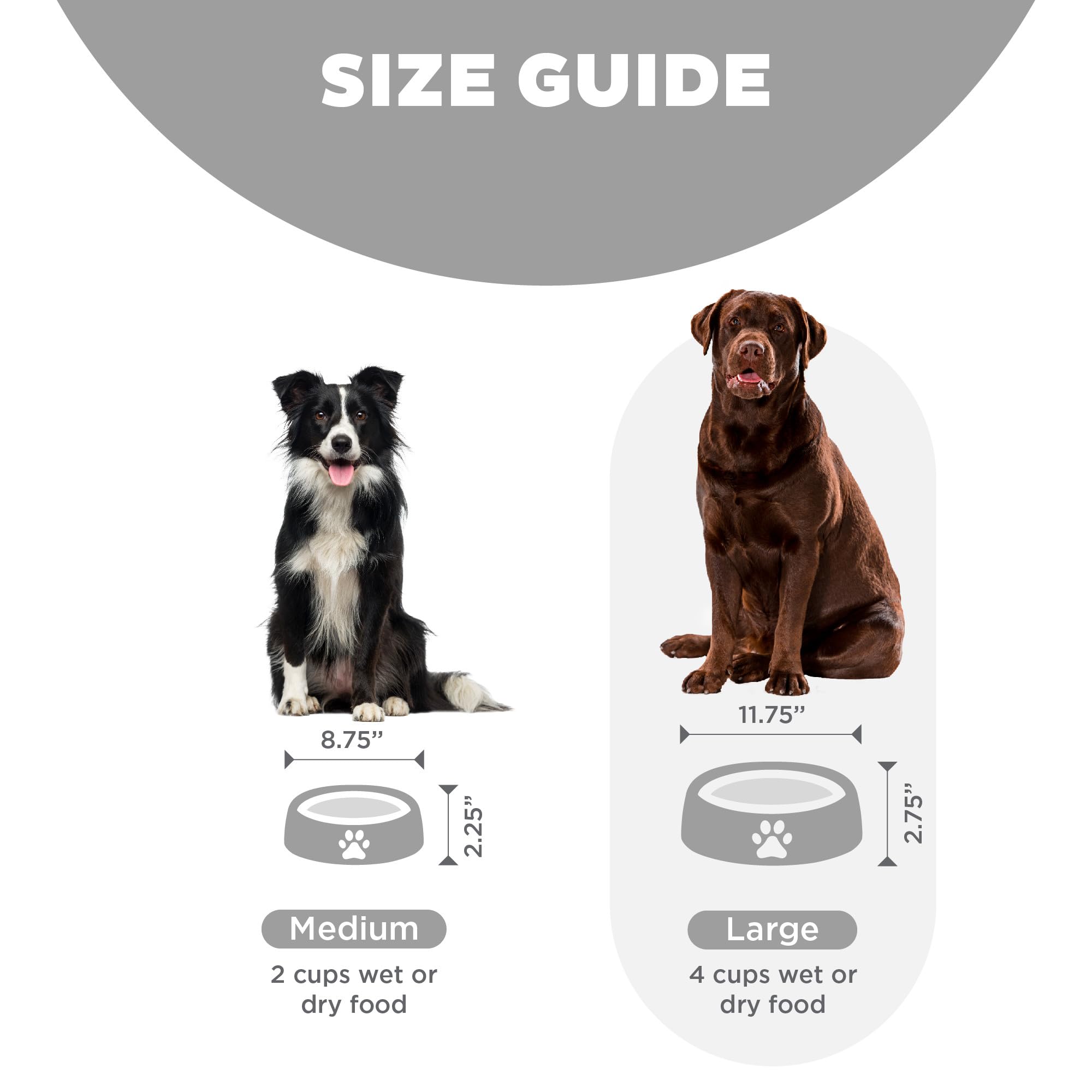 Outward Hound Slow Feeder Dog Bowl - Large Size, Grey | Promotes Healthy Digestion | Slip Resistant 4