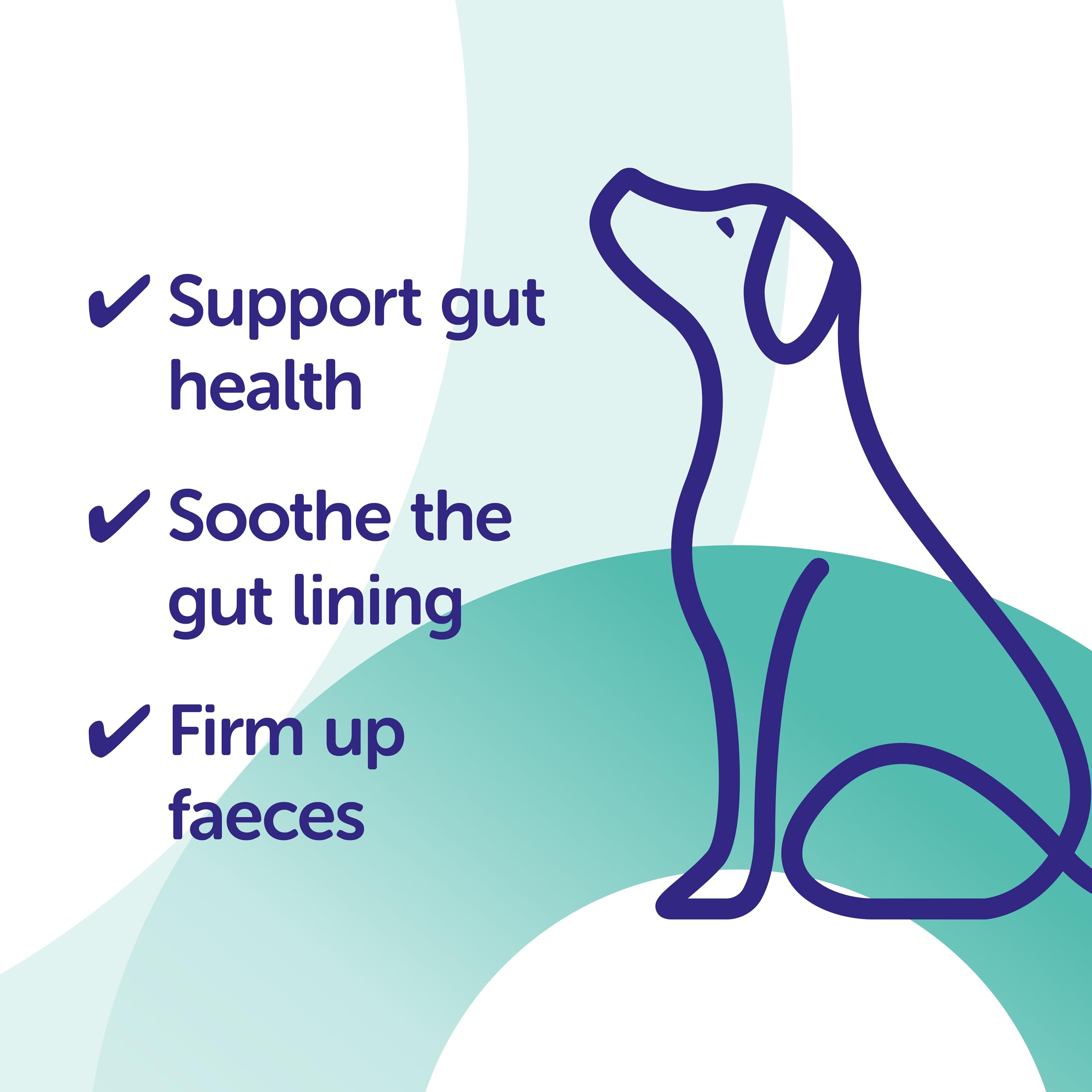Protexin Veterinary Pro-Kolin Advanced Paste for Dogs - Digestive Support | 30ml Syringe
