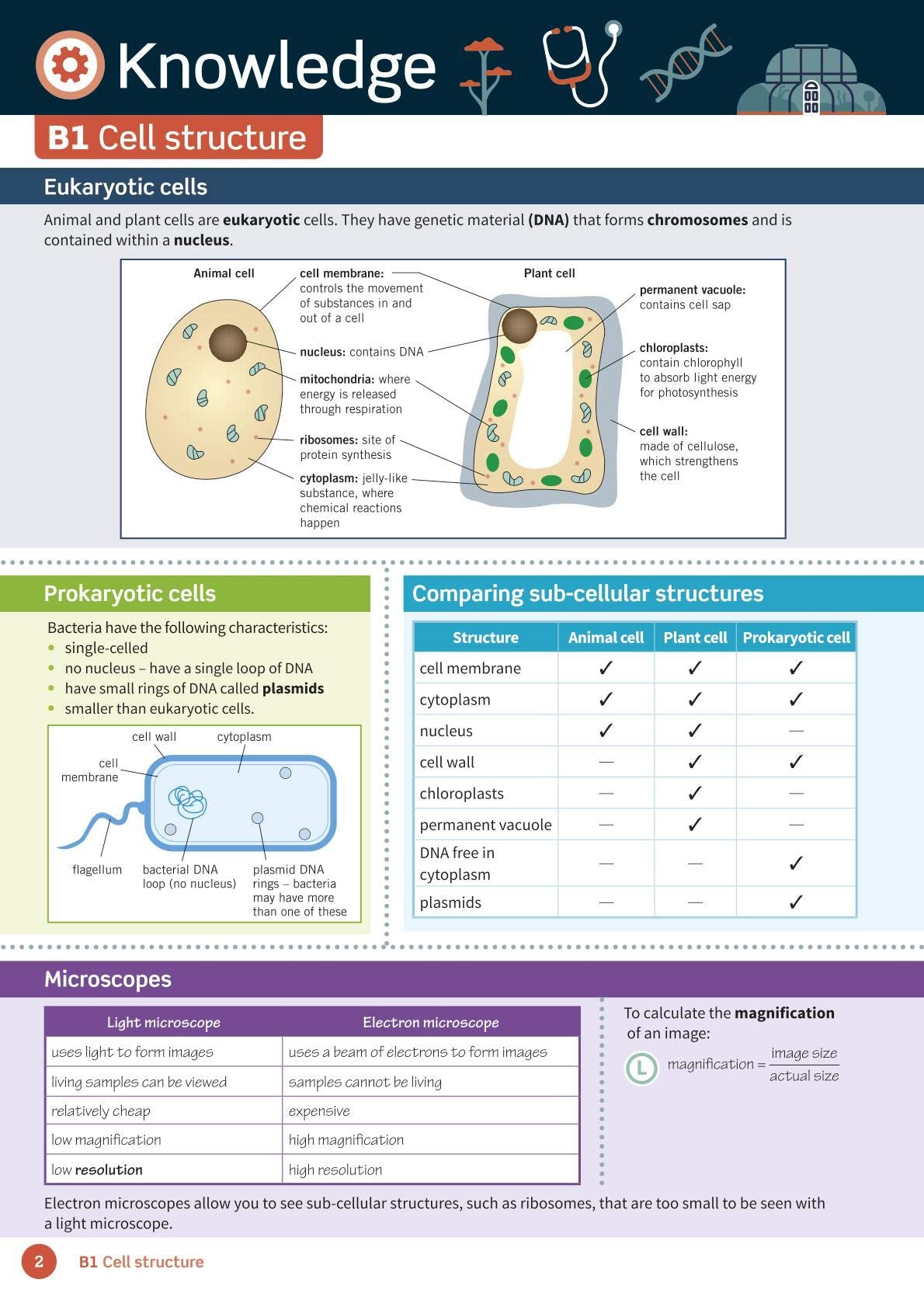 Oxford University Press AQA GCSE Combined Science Higher Revision and Exam Practice - Revision Guide | Paperback | 2020