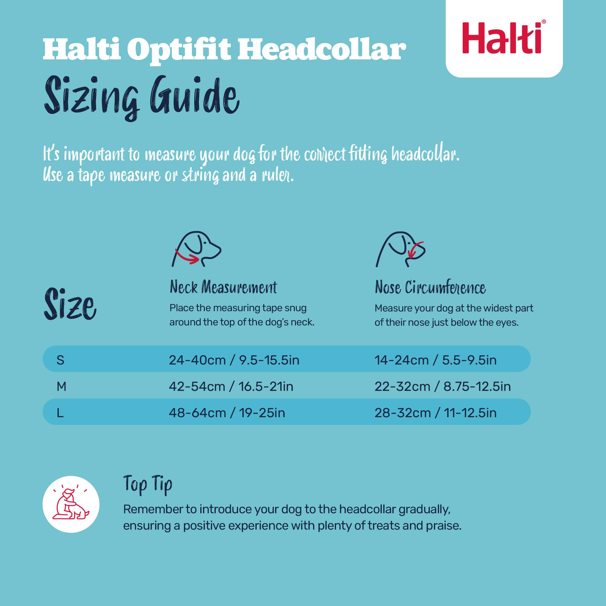 Halti Optifit Headcollar - Stops Pulling, Adjustable Fit for Dogs | Medium, Black 5