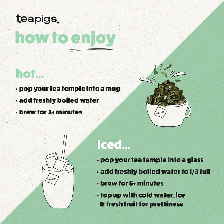 teapigs Cleanse Detox Tea, 15-Count - Organic Herbal Tea with Lemongrass, Ginger & Coconut
