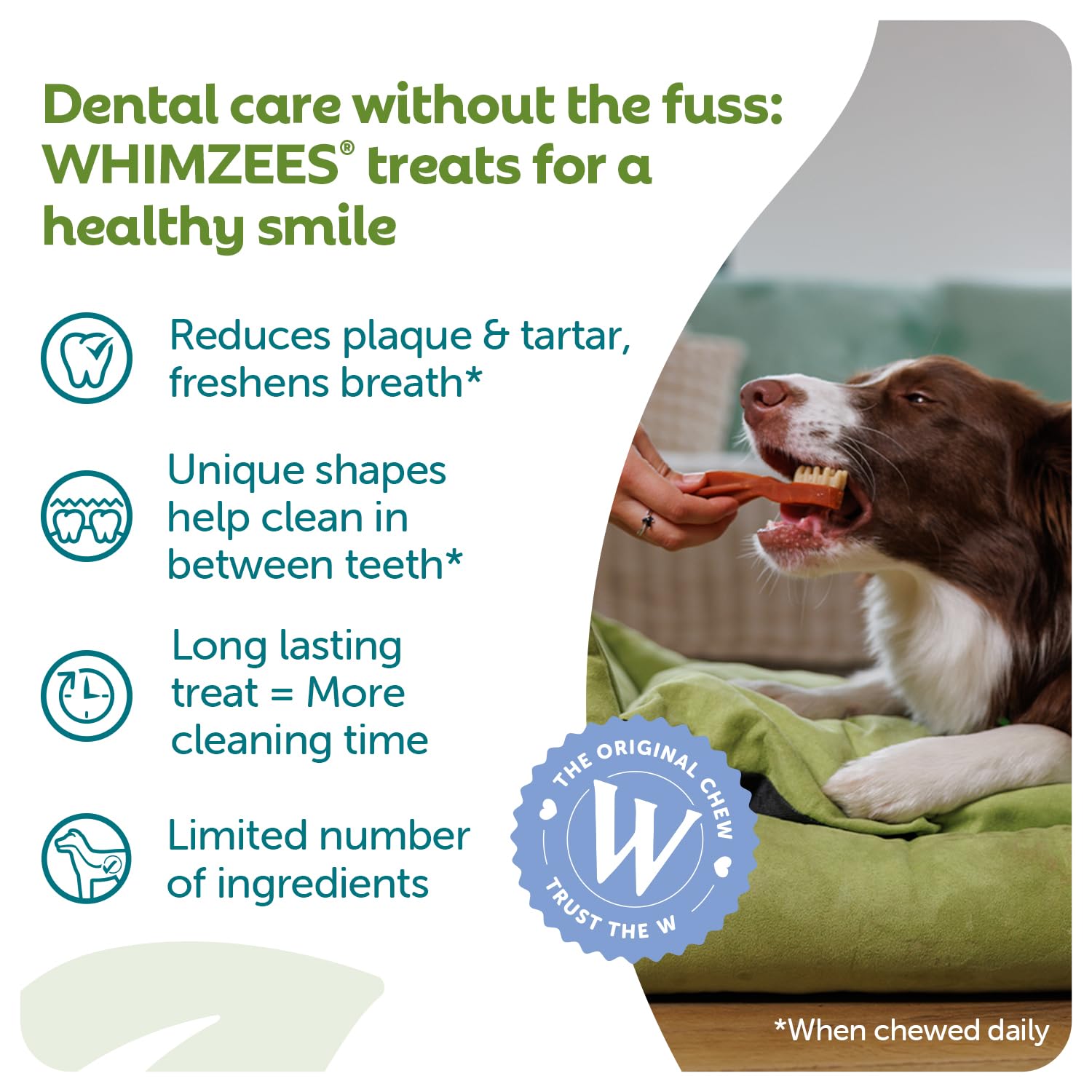 WHIMZEES Toothbrush XS Dog Dental Chews - 48 Pieces | Natural, Grain-Free, Vegetarian