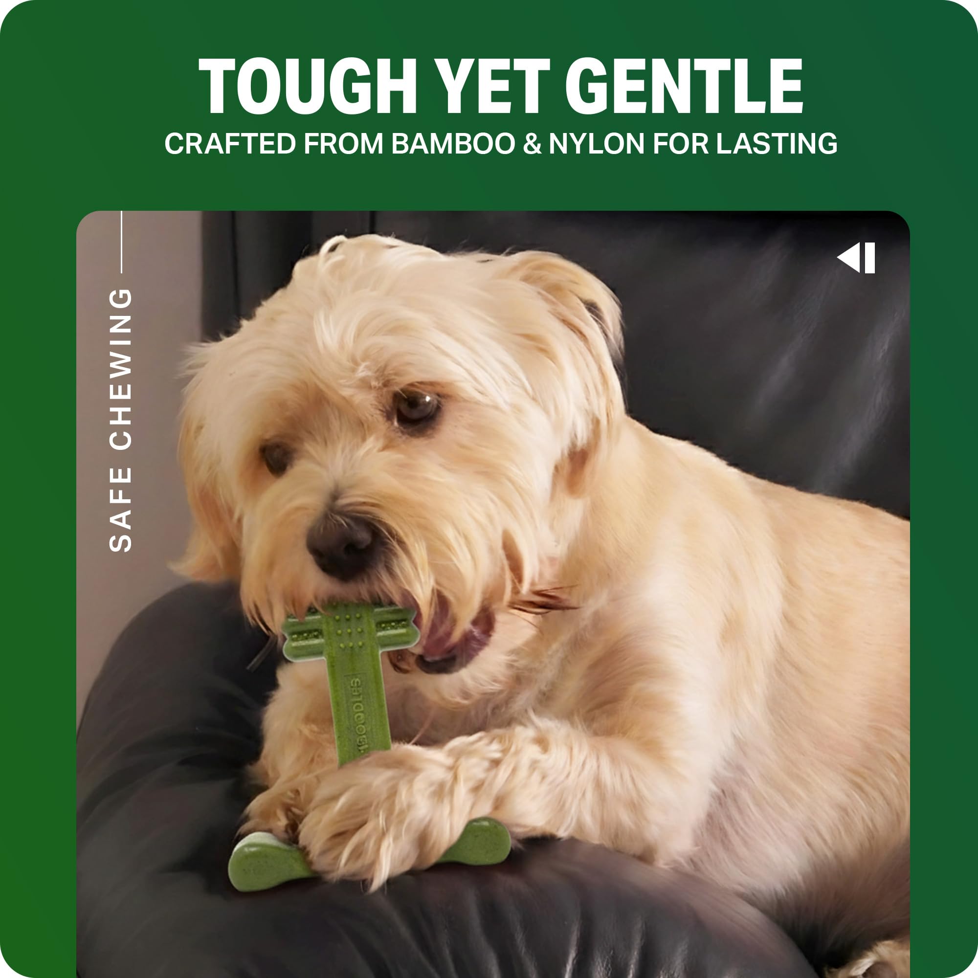 Bamboodles T-Bone Dog Chew Toy - Medium Size | Mint & Lamb Flavor | Heavy Duty 6