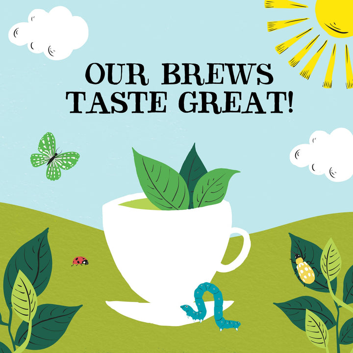 Clipper Organic Pure Green Tea Bags - Box of 40 Fairtrade & Biodegradable Tea Bags