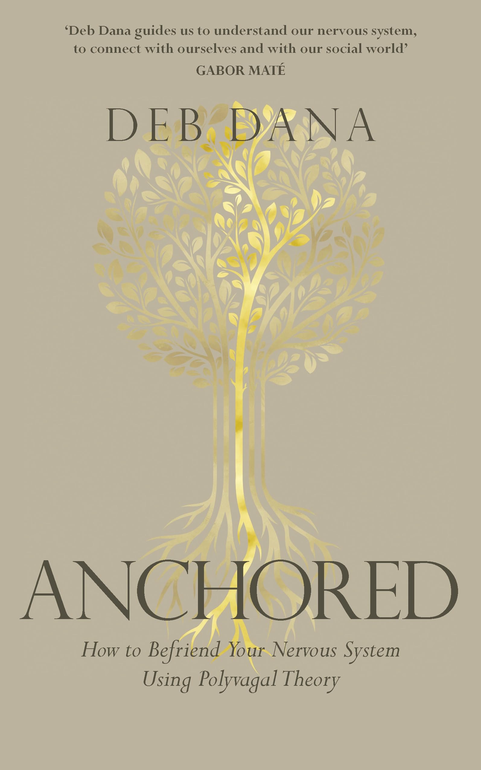 Vermilion Anchored: How to Befriend Your Nervous System Using Polyvagal Theory | Paperback 1
