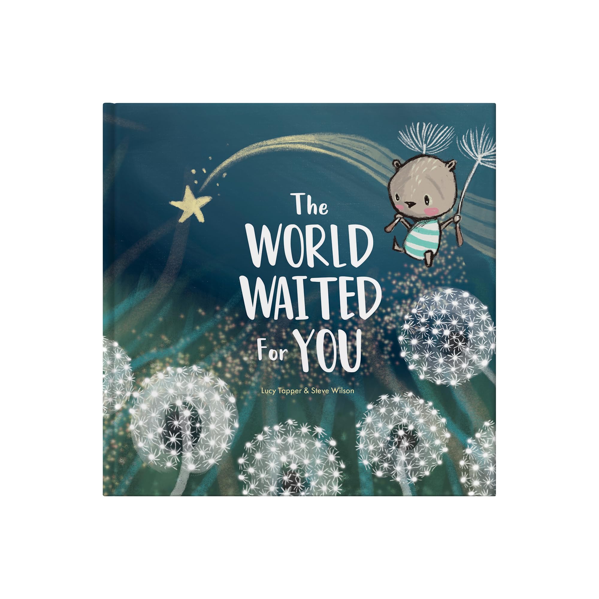 FROM YOU TO ME The World Waited For You - New Baby Gift Keepsake Book | Hardcover | Picture Book 1