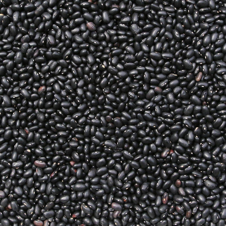 Wholefood Earth Black Beans 1 kg | GMO Free | Natural | High Fibre | High Protein | Vegan