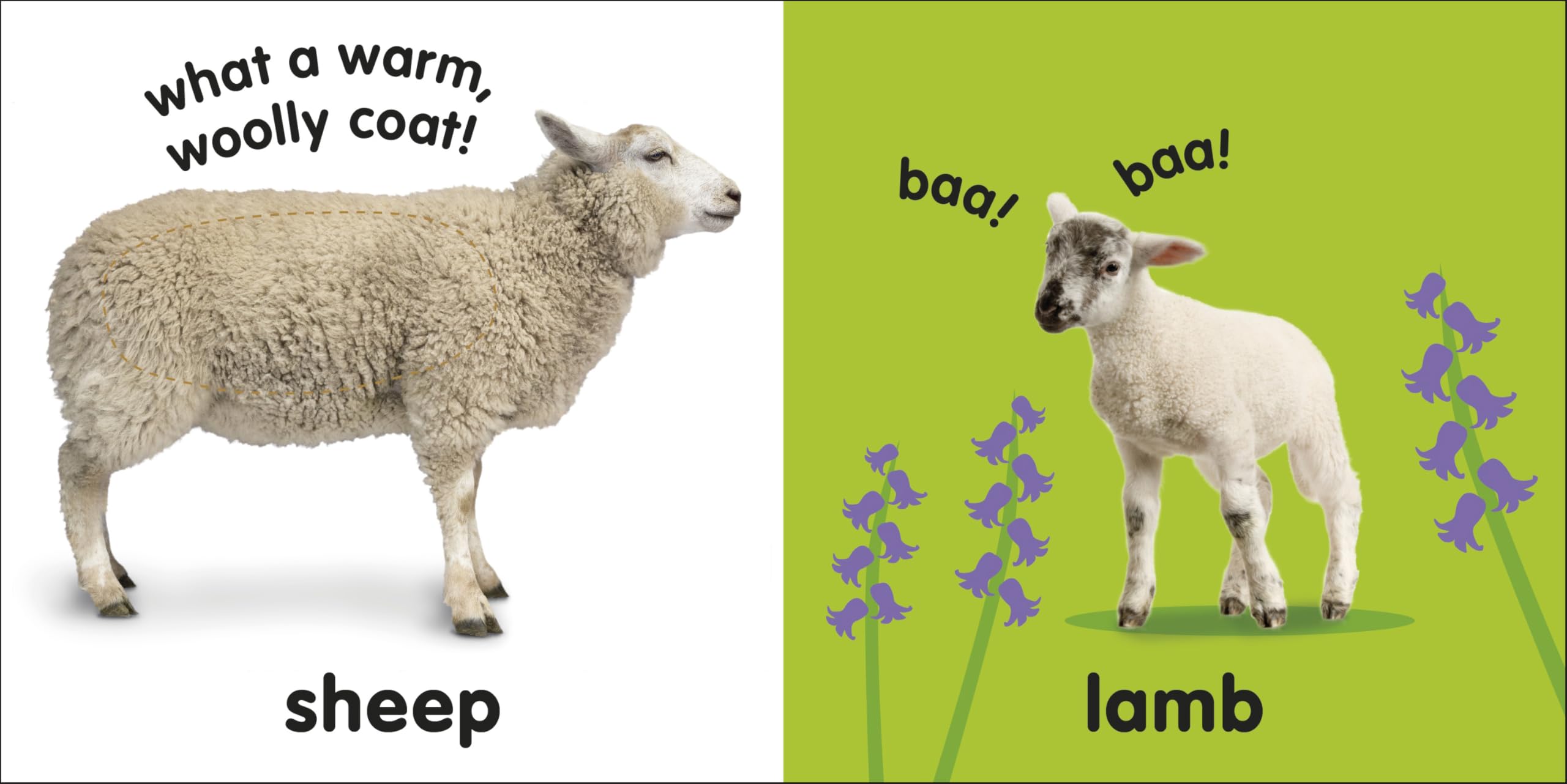 Penguin Baby Touch and Feel Farm Animals Activity Book | Board Book | Ages Baby - 2 Years 3