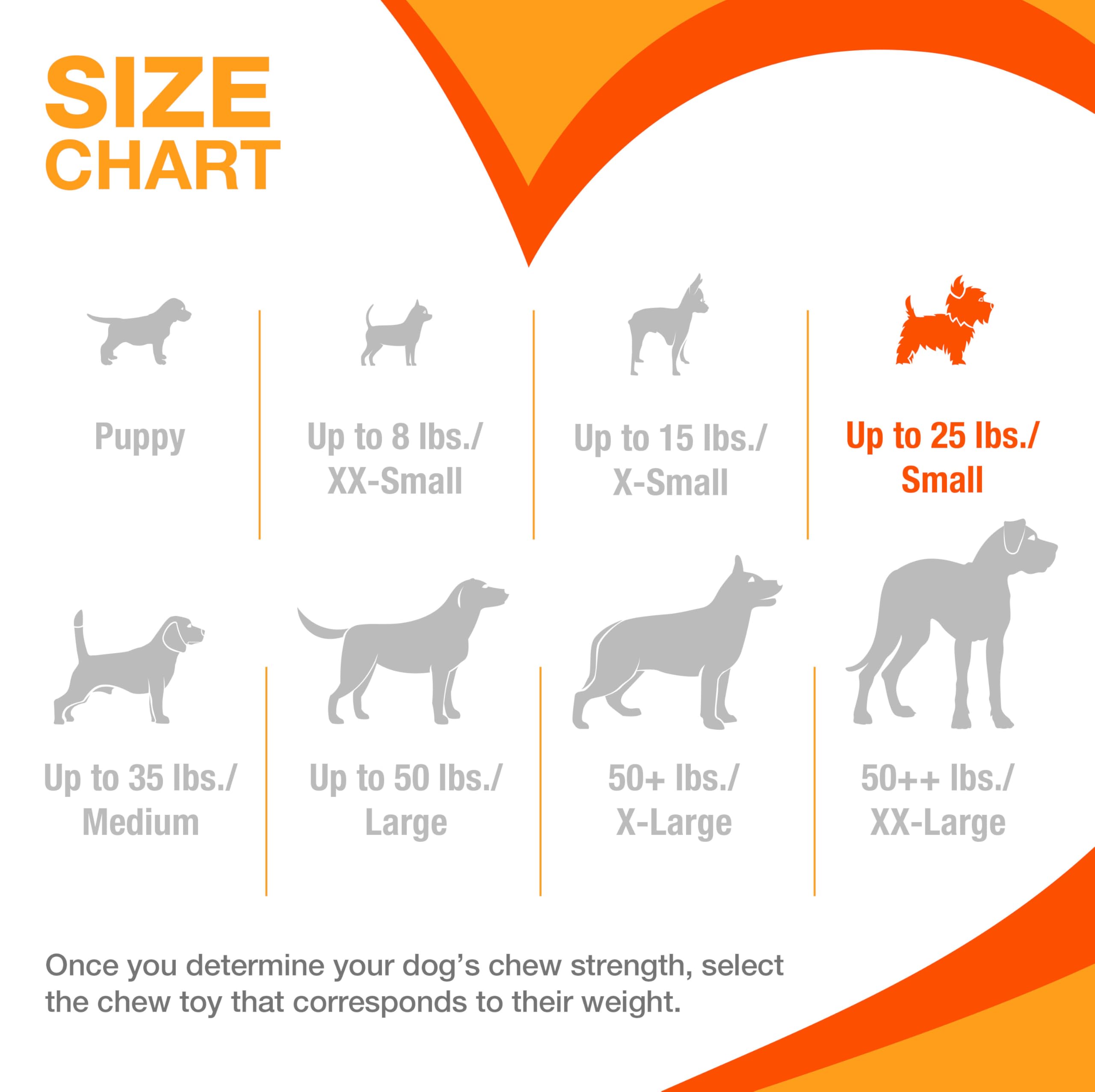 Nylabone Puppy Pacifier Chew Toy - Bacon Flavor, Extra Small (Up to 7 kg) 6