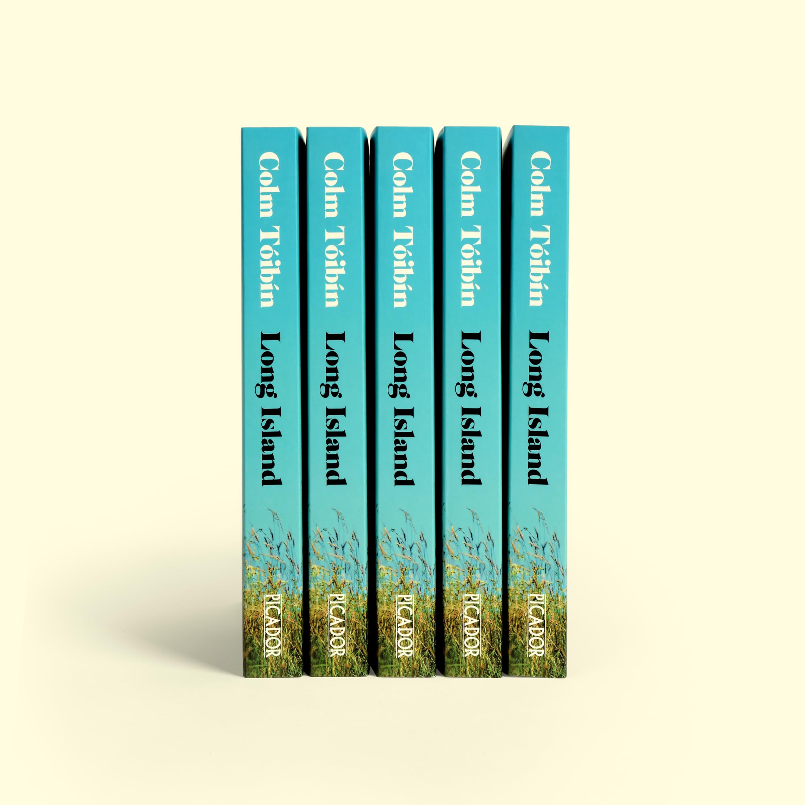 Colm Tóibín - Long Island | Paperback 7