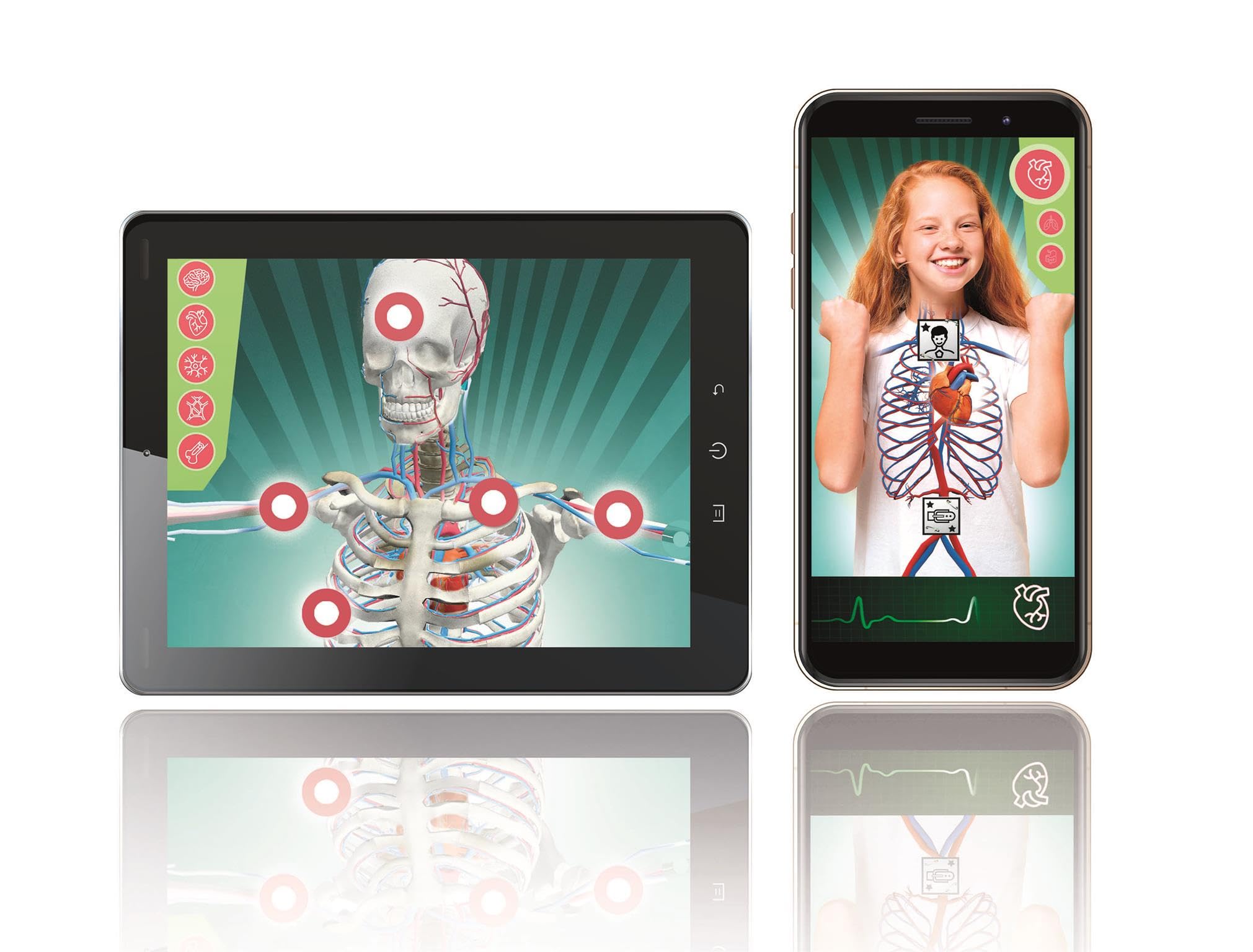 Clementoni Super Anatomy Augmented Reality Science Kit - Build Skeleton Model | Ages 8+ 5