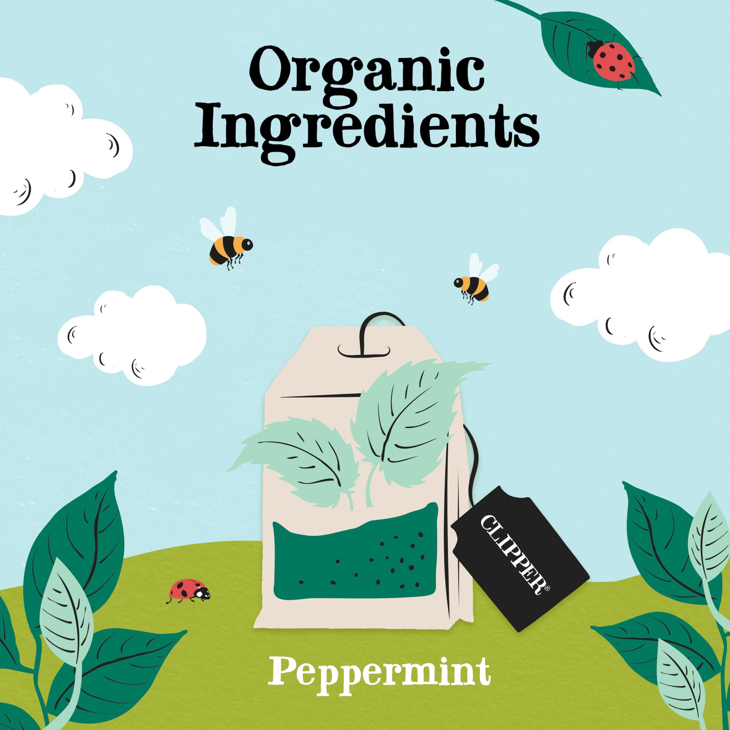 Clipper Organic Peppermint Tea Bags - 120 Count (6x20) | Caffeine Free | Plastic-Free Bags 3