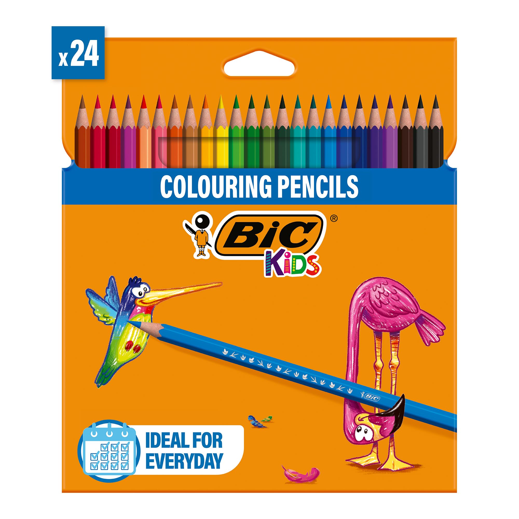 BIC Kids Tropicolors Colouring Pencils - Pack of 24 Assorted Colours | Hex Grip | Wood-Free Resin