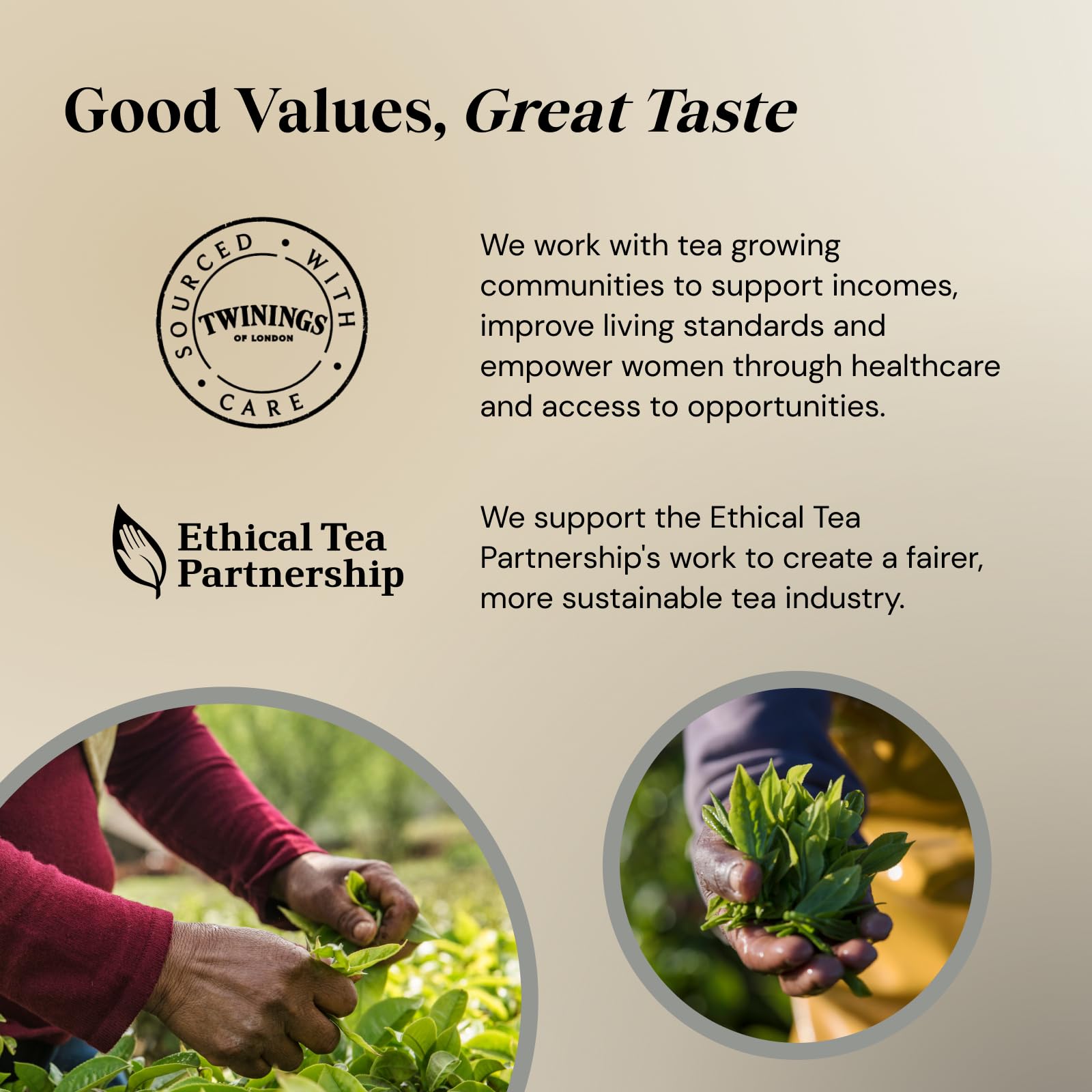 Twinings Darjeeling Black Tea - 40 Vegan Teabags | Light, Delicate Flavor | 100g 4