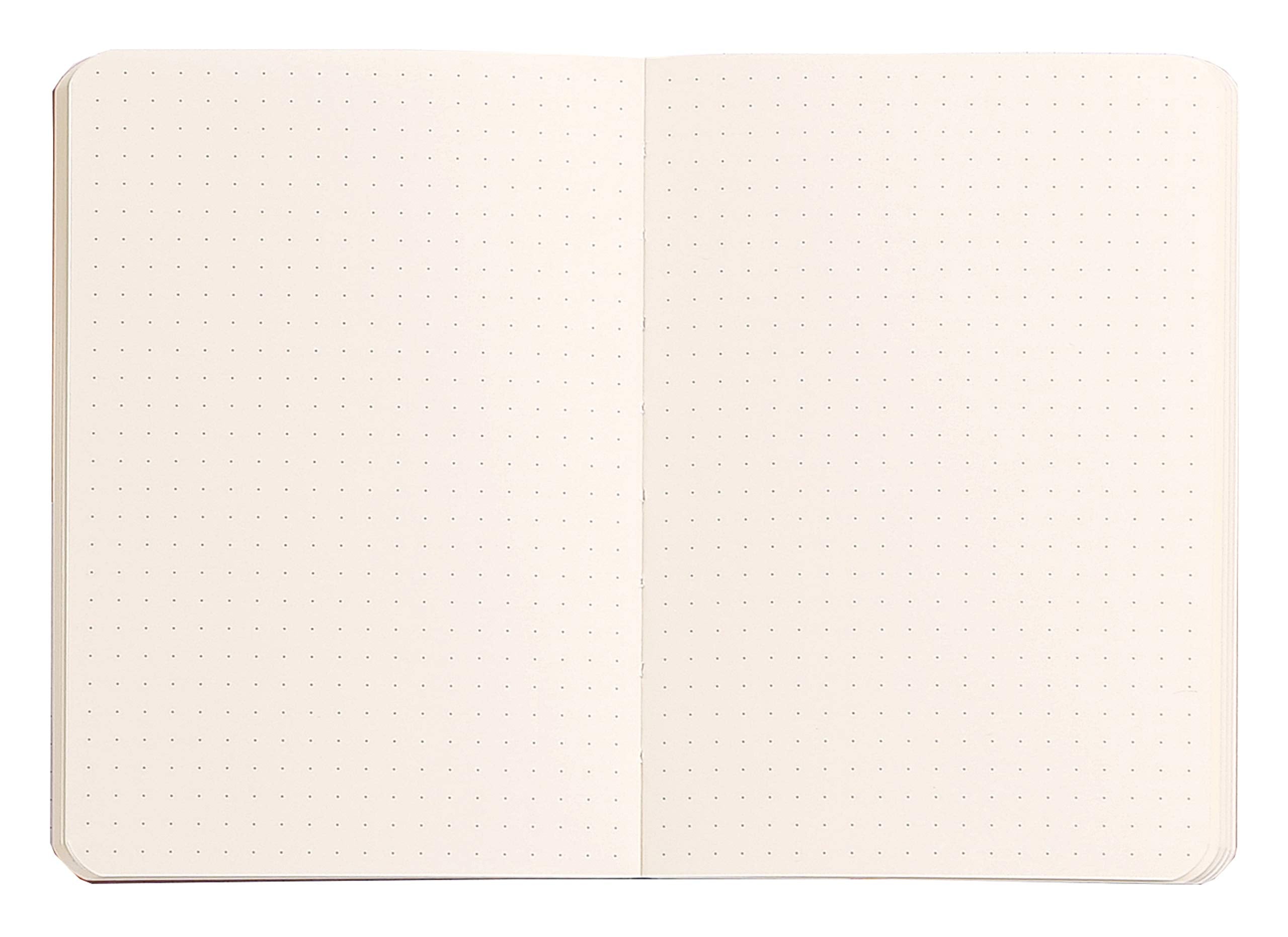 Rhodia Rhodiarama Soft Turquoise A6 Dotted Notebook | 90 g/m² Ivory Paper | 144 Pages