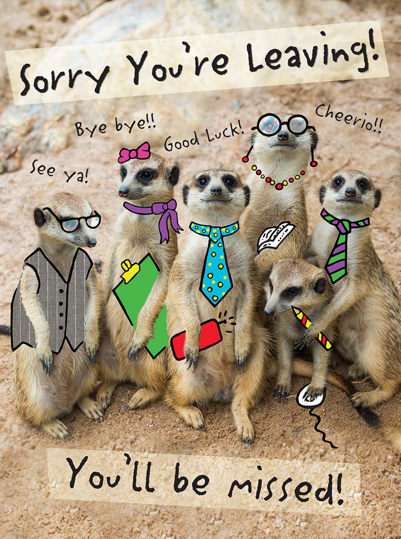 Piccadilly Greetings Modern Large Leaving Card - 12 x 9 Inches | Farewell | Unisex-Kids 1