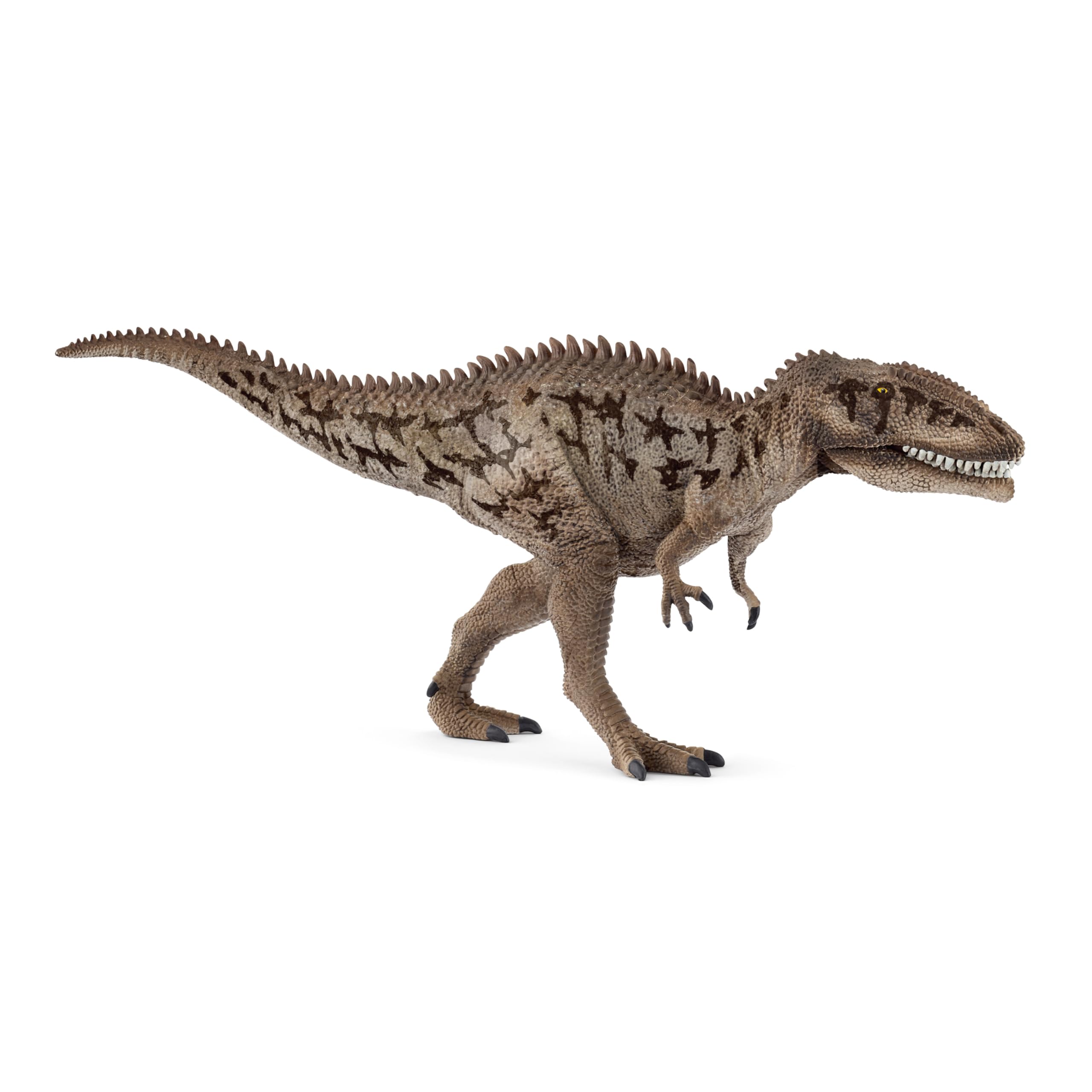 Schleich 15048 Carcharodontosaurus Dinosaur Figurine - Realistic Prehistoric Play Figure for Ages 3+ 6
